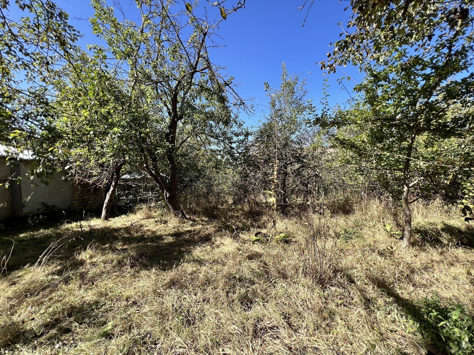 5 otaqlı həyət evi/bağ evi - Şamaxı - 164 m² (9)
