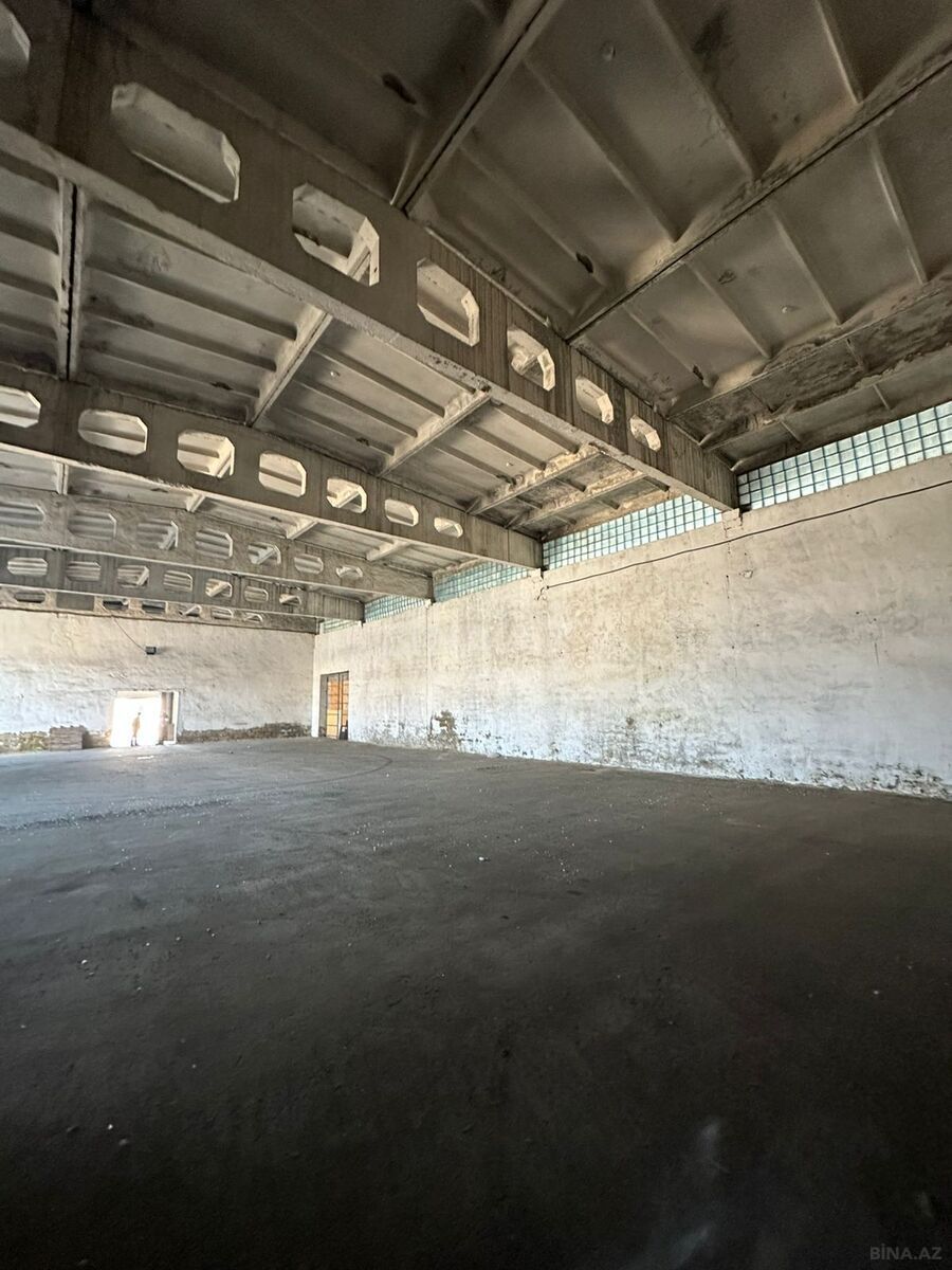 Объект - пос. Забрат - 1500 м² (8)