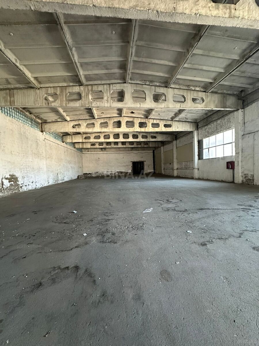 Объект - пос. Забрат - 1500 м² (9)