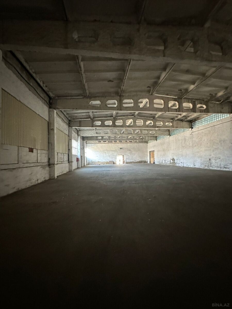 Объект - пос. Забрат - 1500 м² (4)