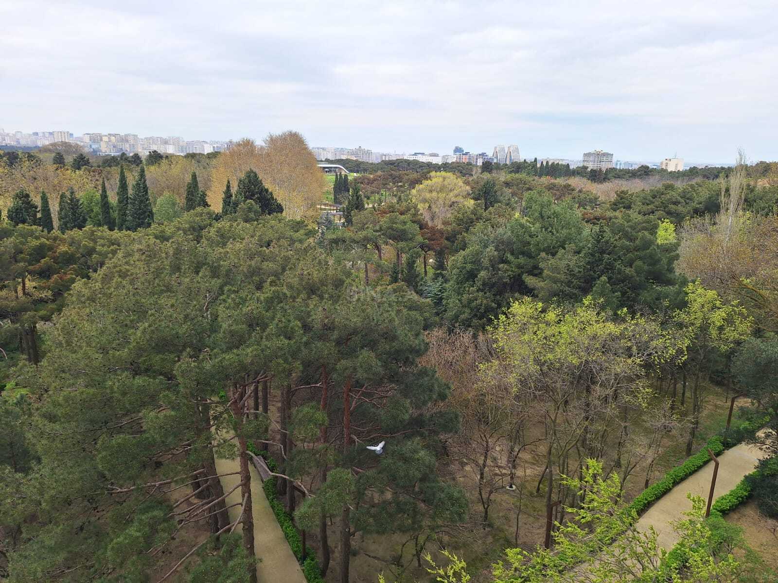 3-комн. новостройка - пос. Бадамдар - 137 м² (4)