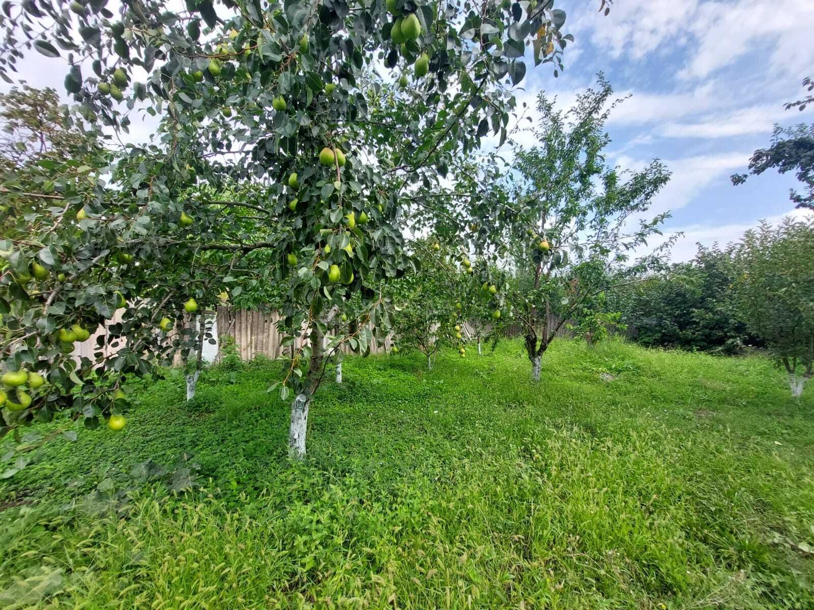 10-комн. дом/дача - Губа - 230 м² (8)