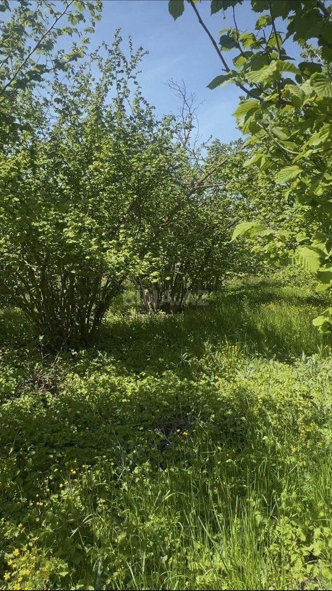 4-комн. дом/дача - Хачмаз - 100 м² (9)