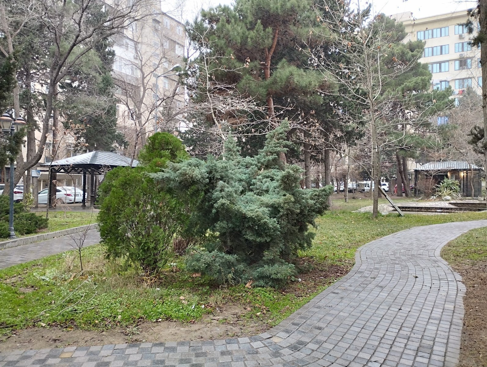 4-комн. вторичка - м. Азадлыг проспекти - 110 м² (24)