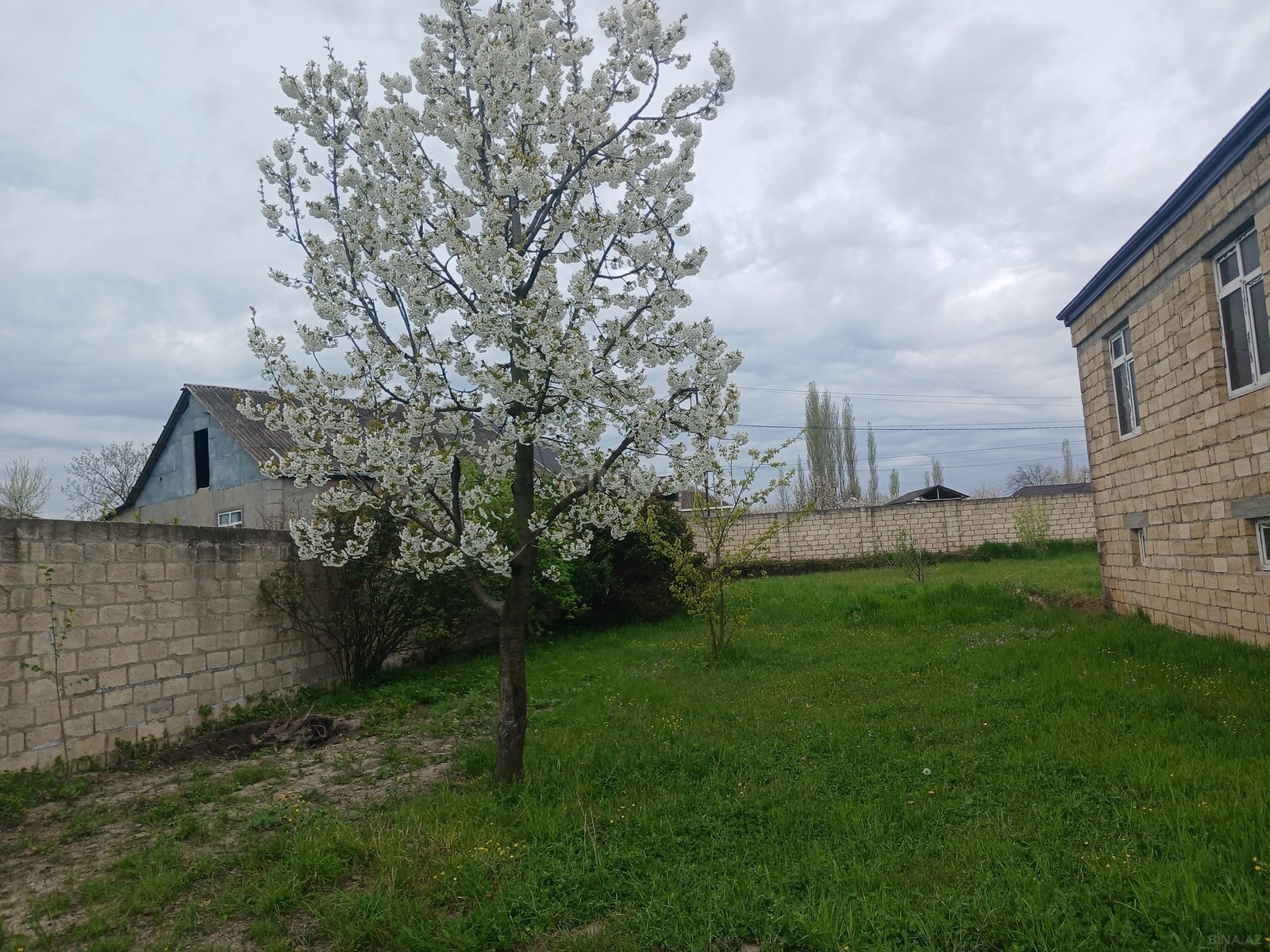 5 otaqlı həyət evi/bağ evi - Xaçmaz - 160 m² (9)