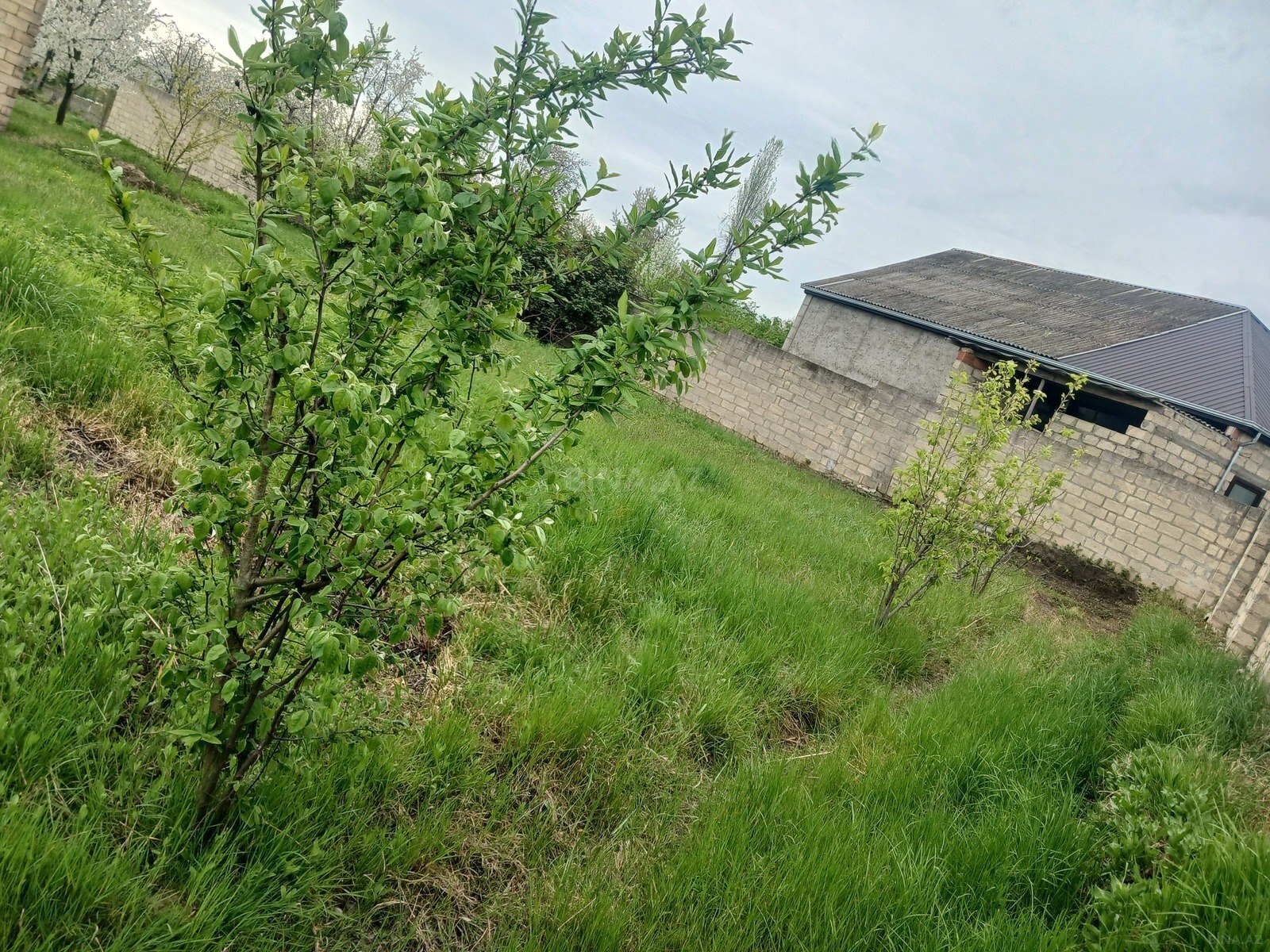 5 otaqlı həyət evi/bağ evi - Xaçmaz - 160 m² (2)