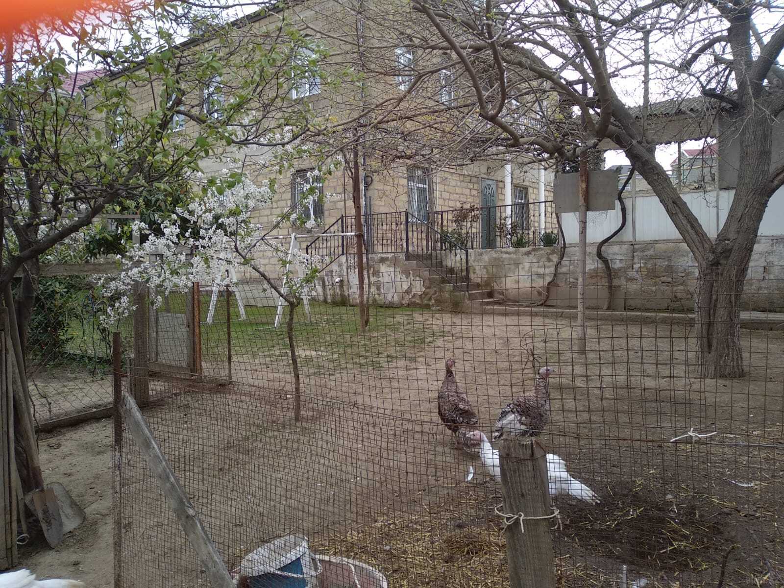 10-комн. дом/дача - пос. Геокмалы - 340 м² (29)