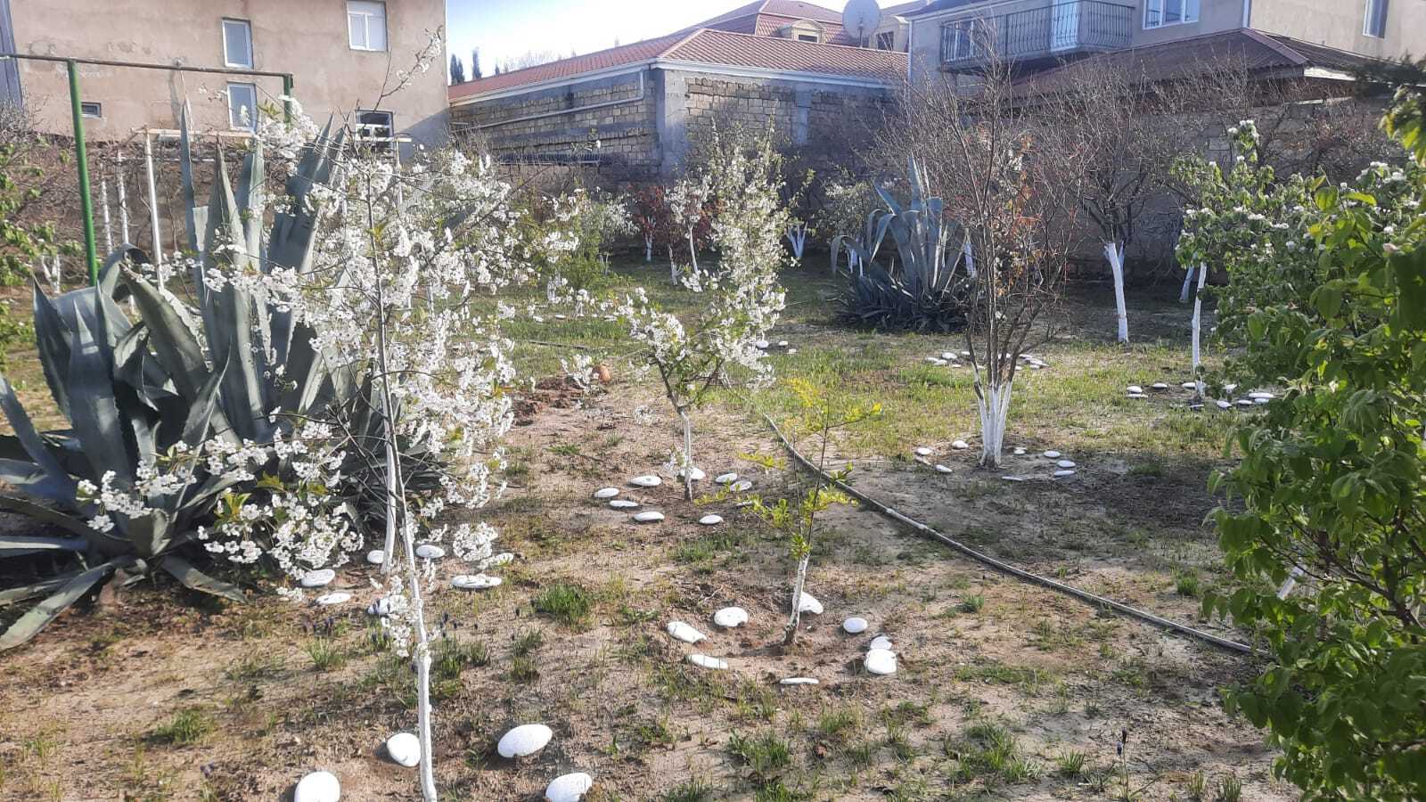 5-комн. дом/дача - Сумгаит - 153 м² (23)