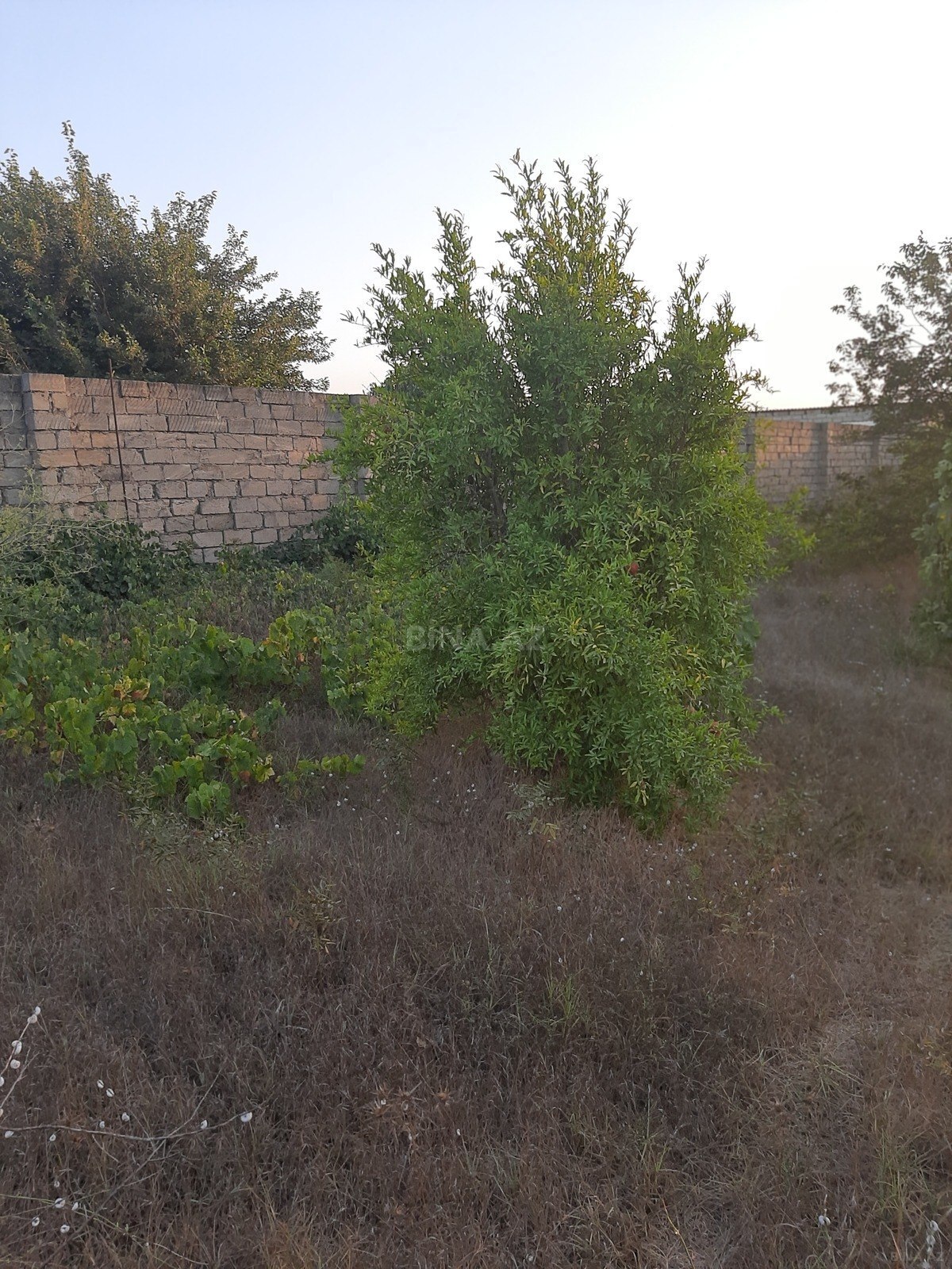 Участок - пос. Нардаран - 12 сот (16)
