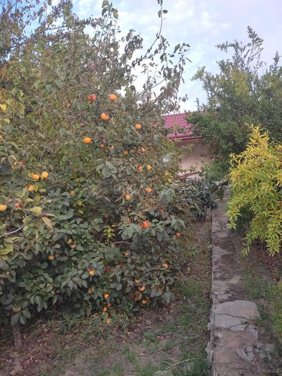 5-комн. дом/дача - пос. Новханы - 180 м² (12)