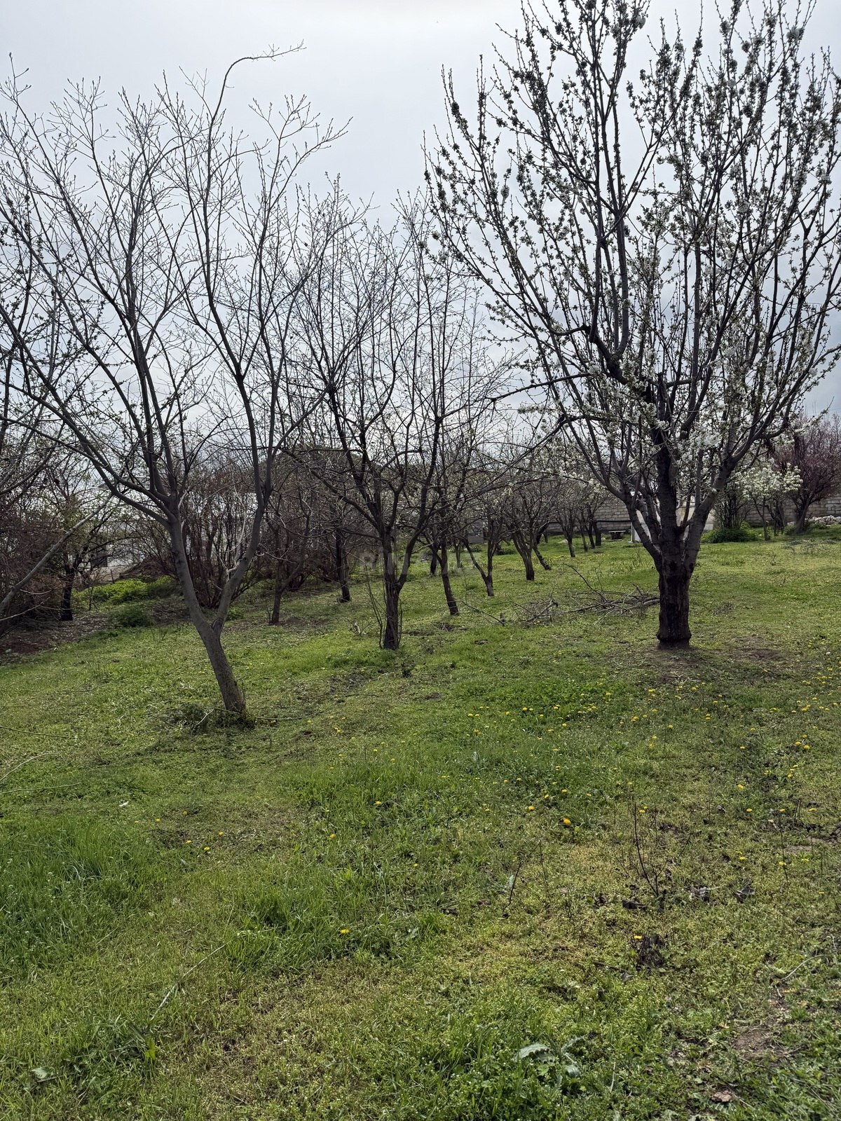 1-комн. дом/дача - Шамкир - 70 м² (8)