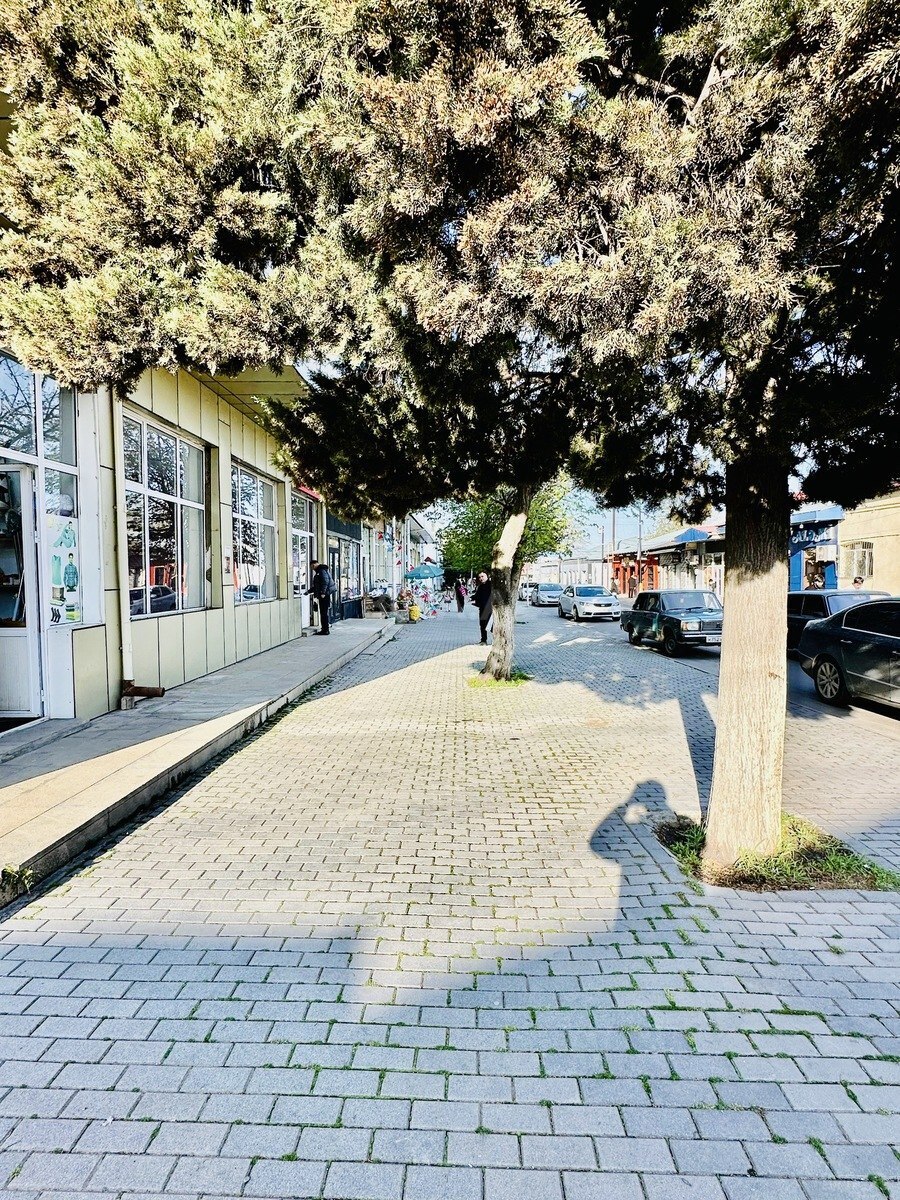 Объект - Губа - 120 м² (5)