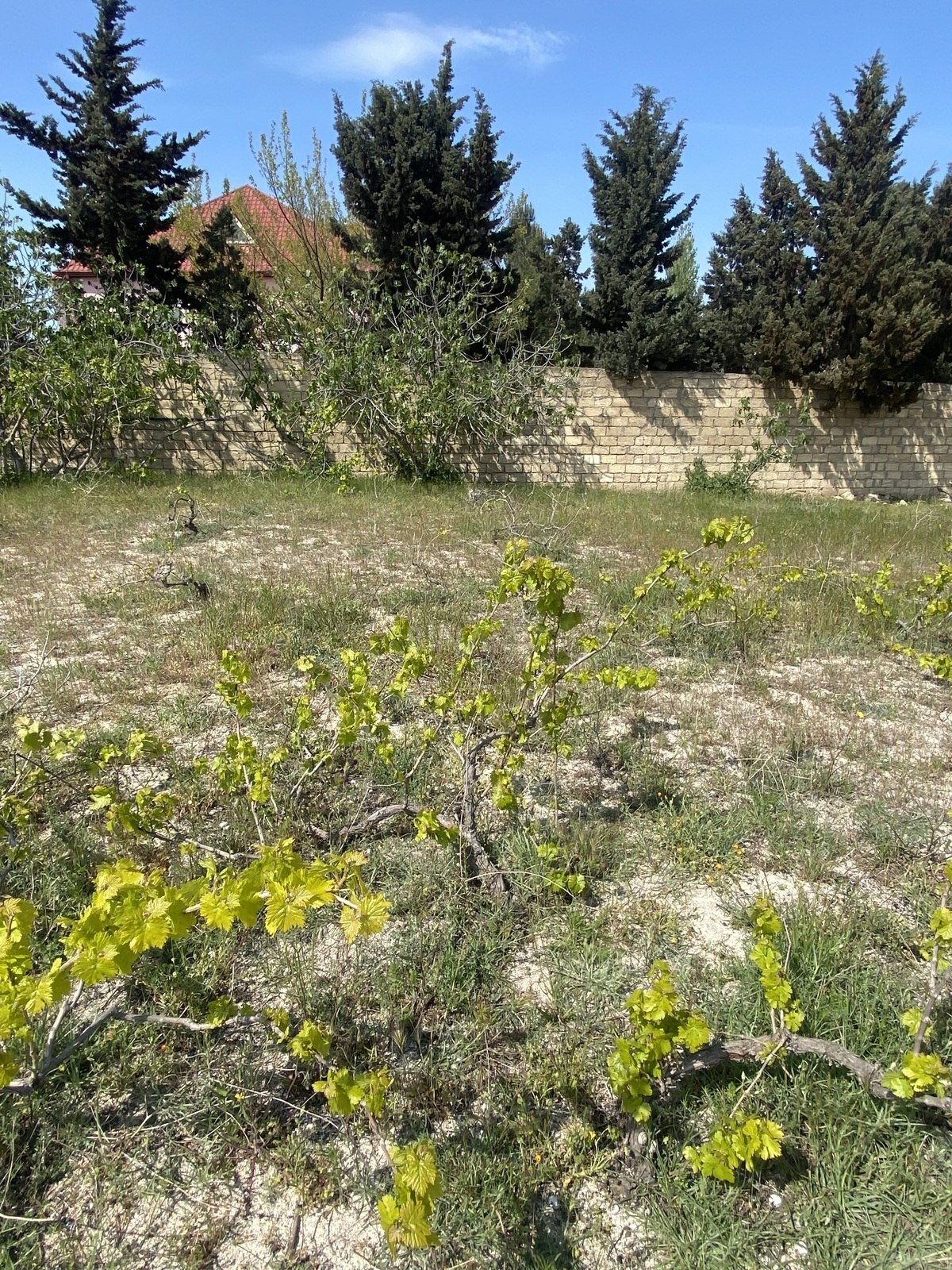 Участок - пос. Новханы - 3 сот (1)
