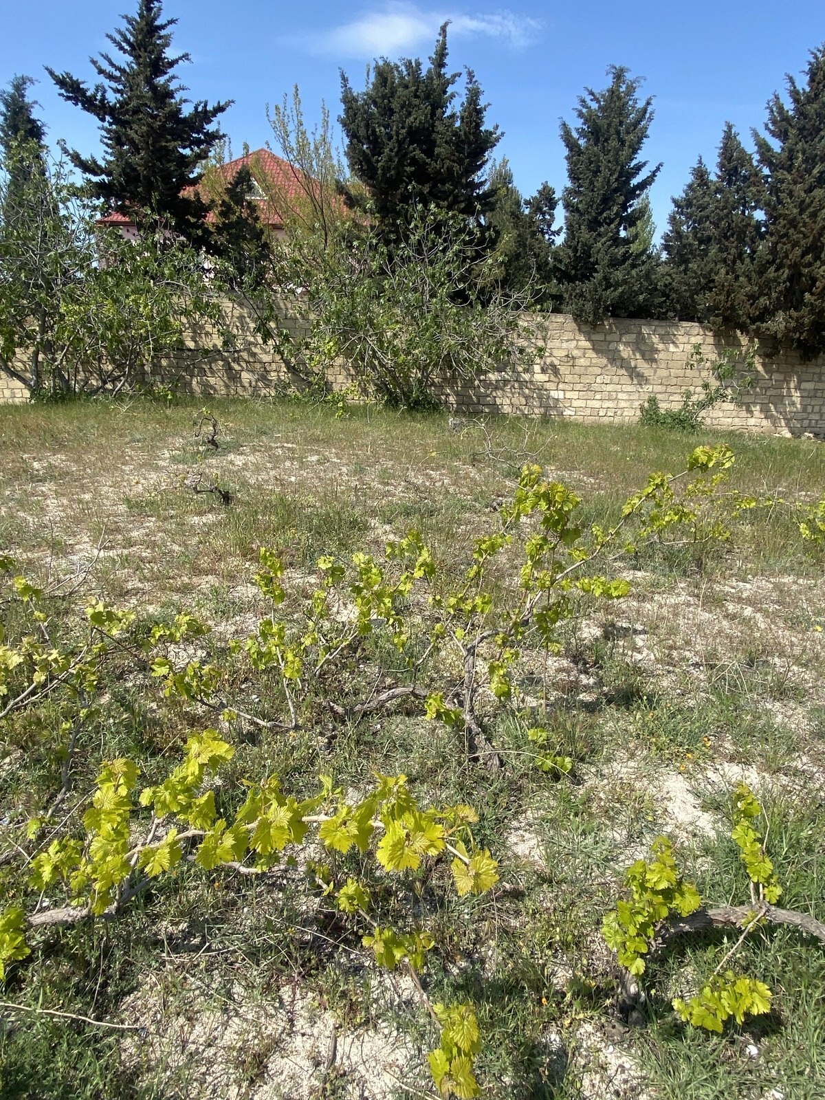Участок - пос. Новханы - 3 сот (3)