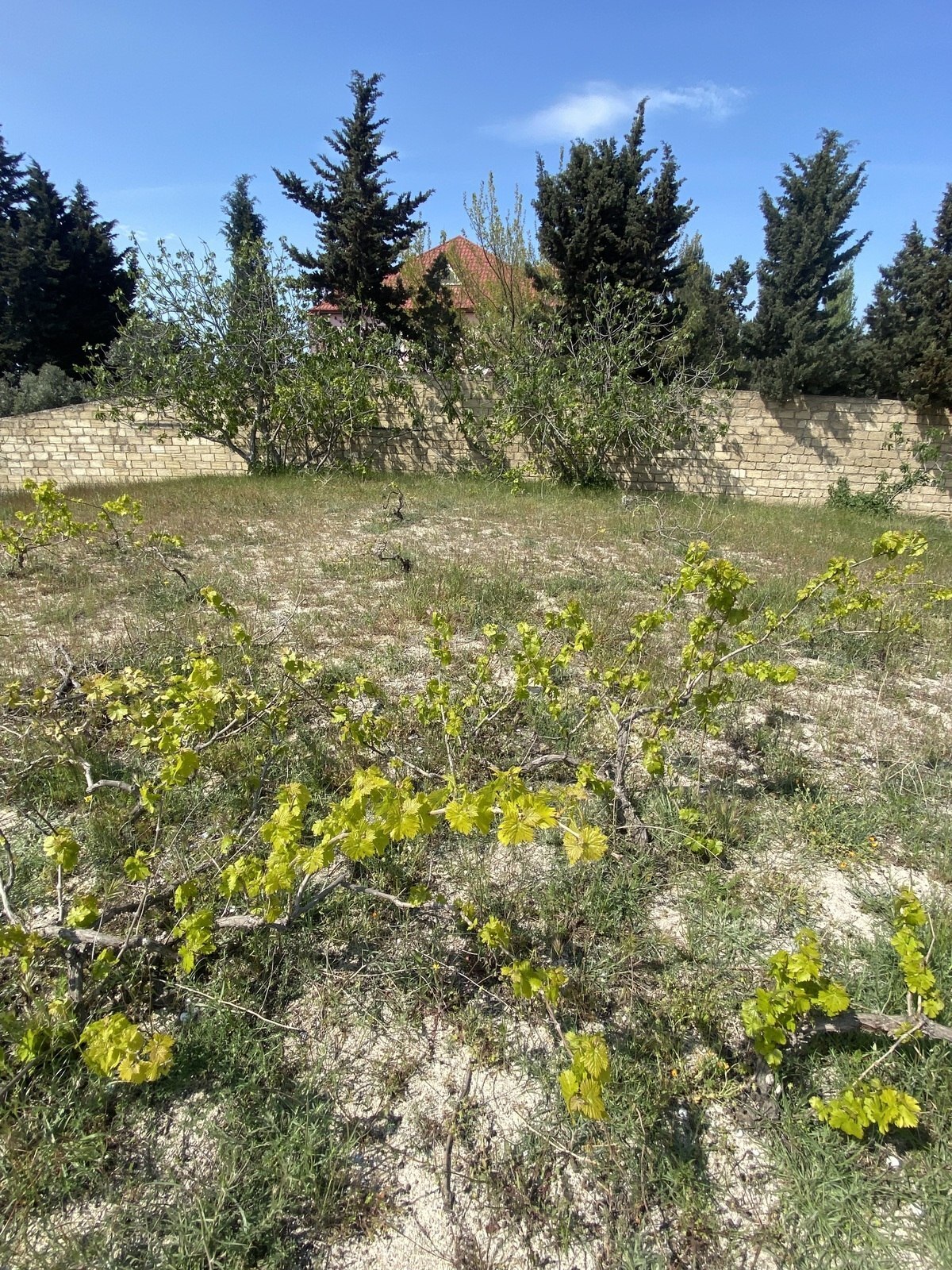 Участок - пос. Новханы - 3 сот (5)