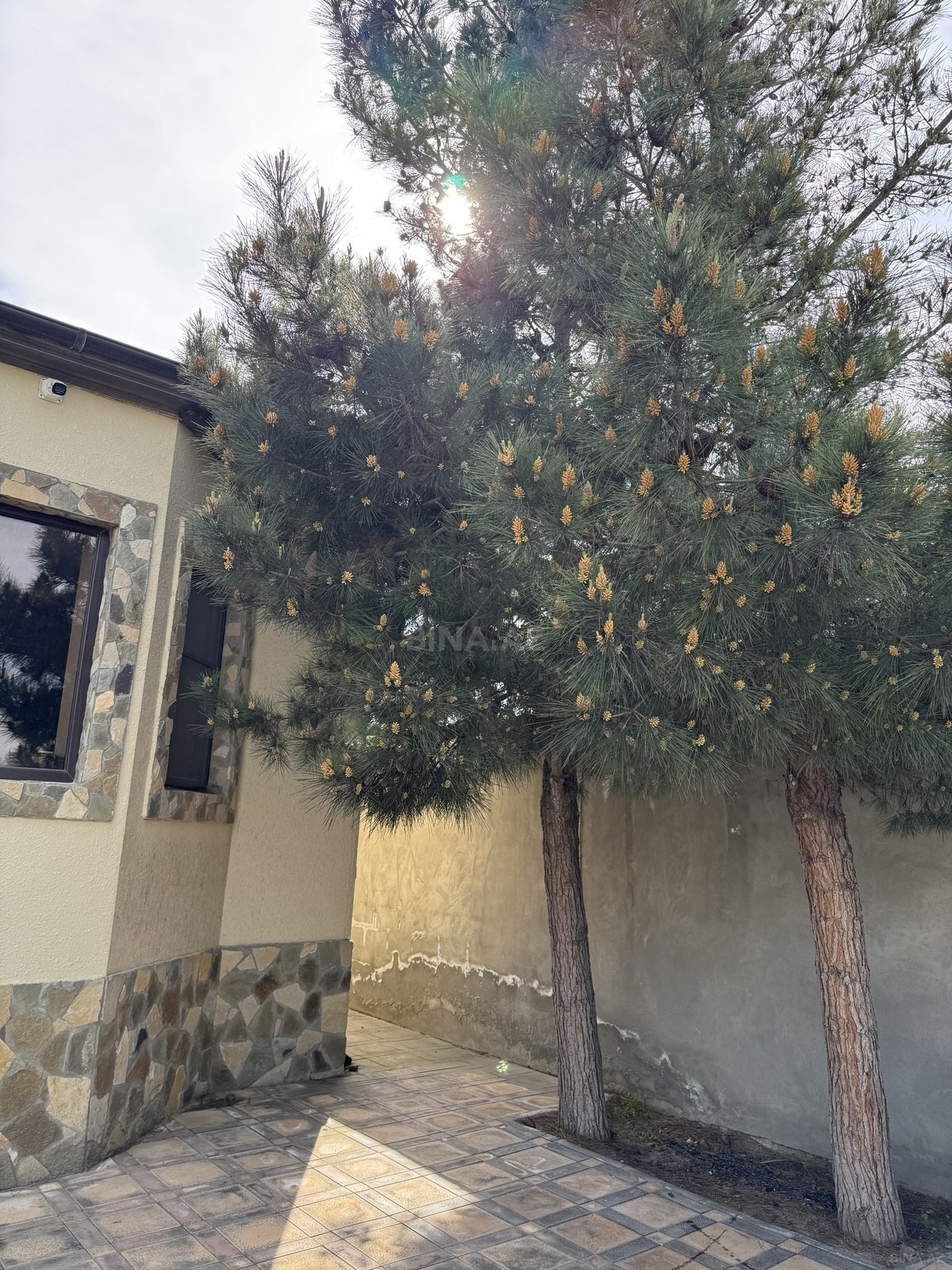 4 otaqlı həyət evi/bağ evi - Dübəndi q. - 125 m² (20)