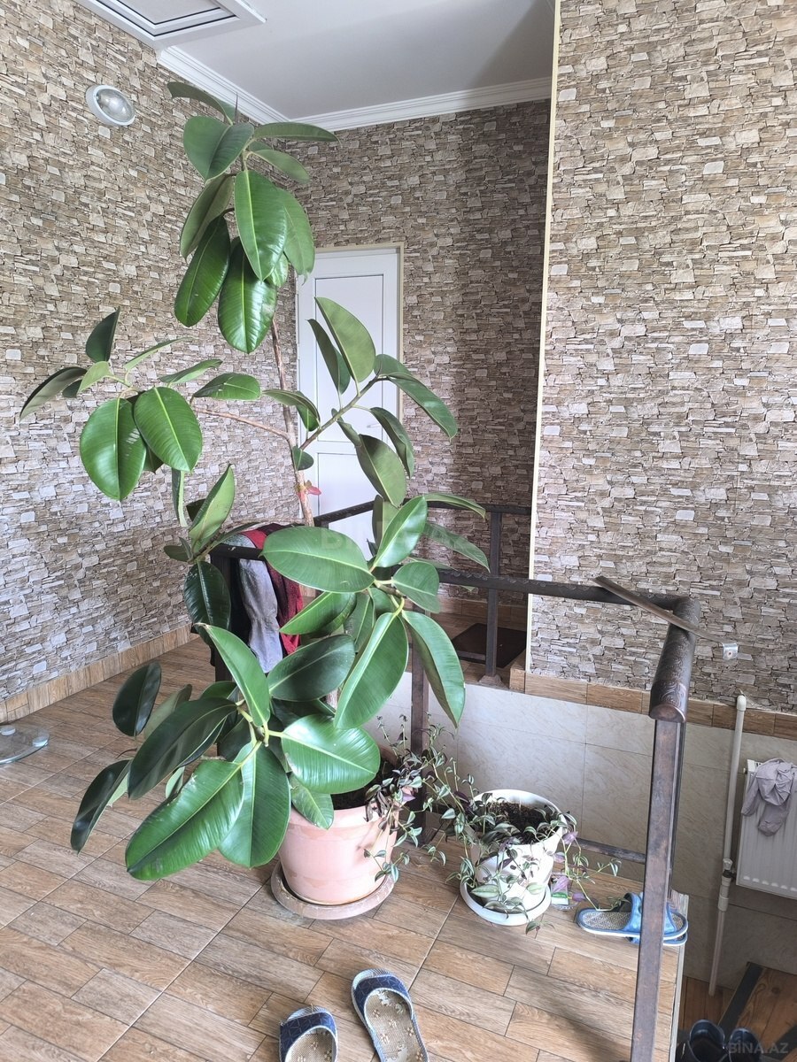 4 otaqlı həyət evi/bağ evi - Novxanı q. - 300 m² (21)