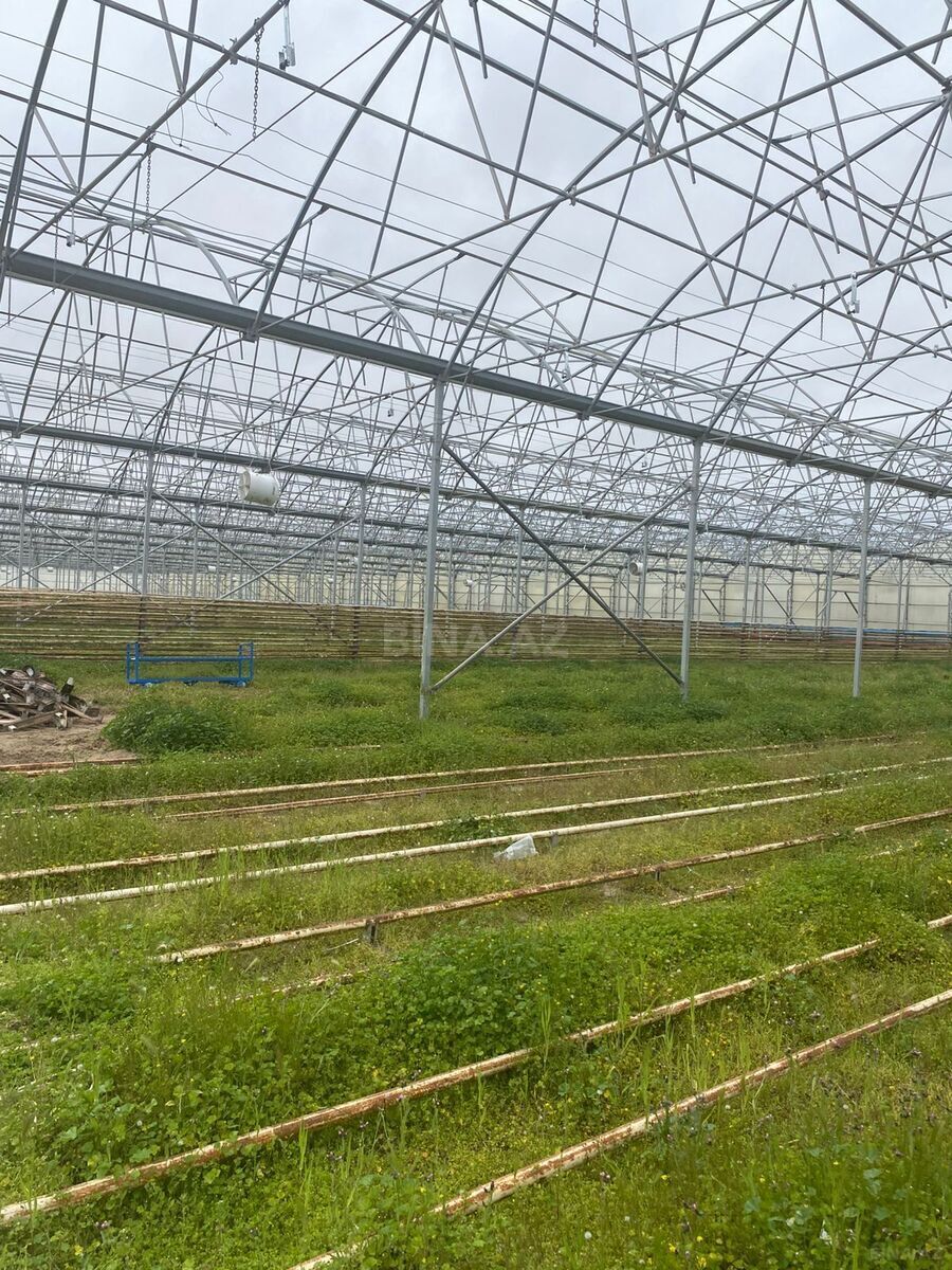 Obyekt - Zirə q. - 74000 m² (7)