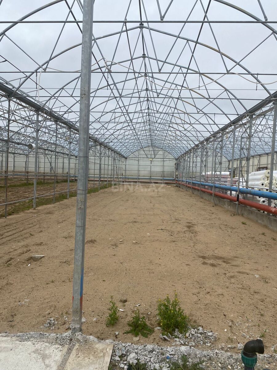 Obyekt - Zirə q. - 74000 m² (8)