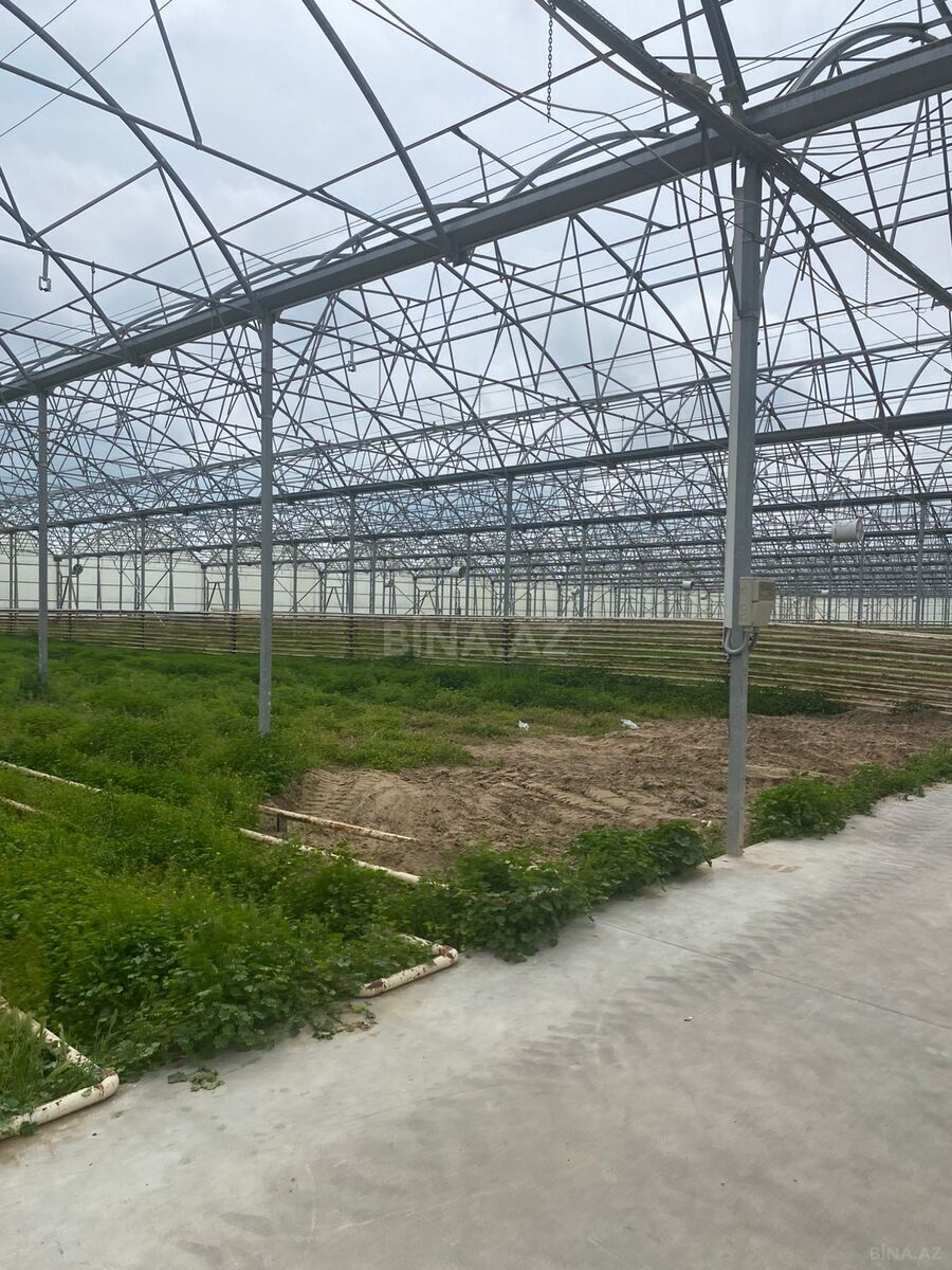 Obyekt - Zirə q. - 74000 m² (4)