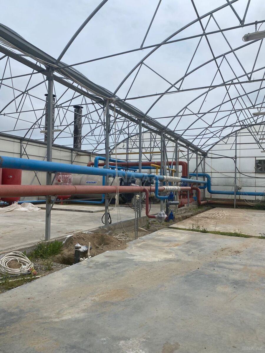Obyekt - Zirə q. - 74000 m² (9)