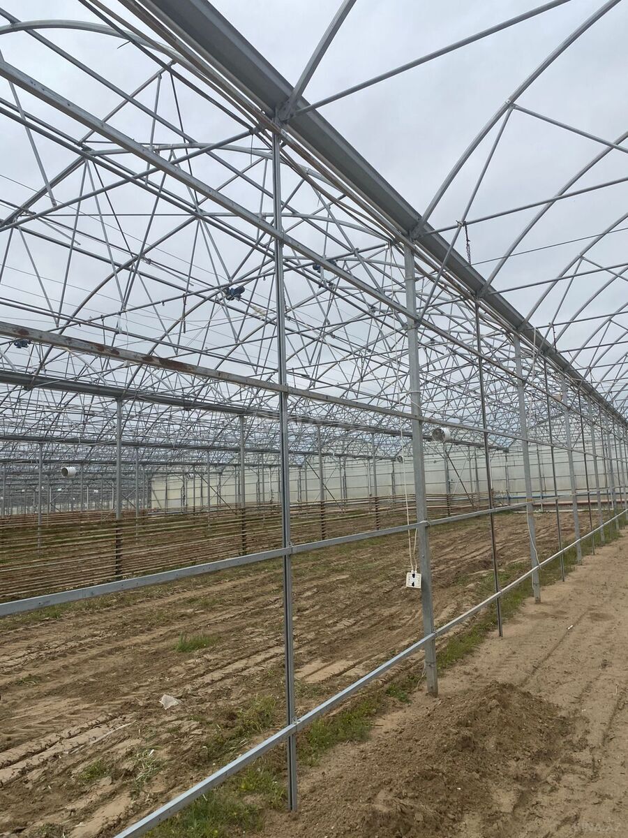 Obyekt - Zirə q. - 74000 m² (6)
