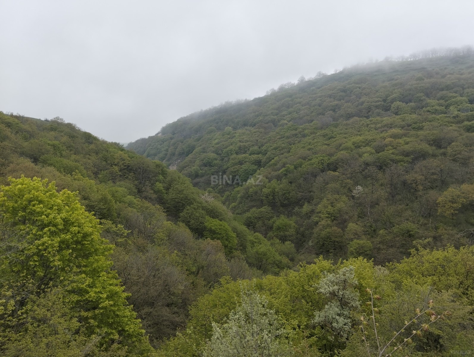 Torpaq - Şamaxı - 200 sot (14)