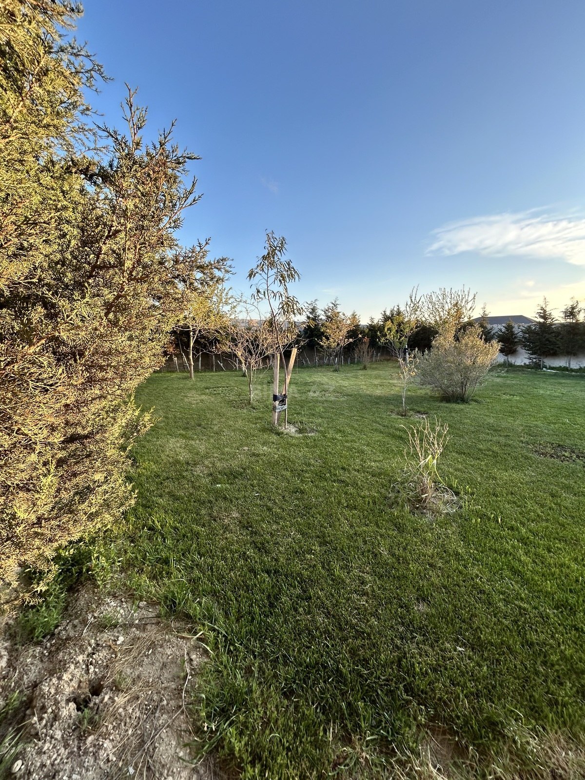 3 otaqlı həyət evi/bağ evi - Binə q. - 160 m² (14)