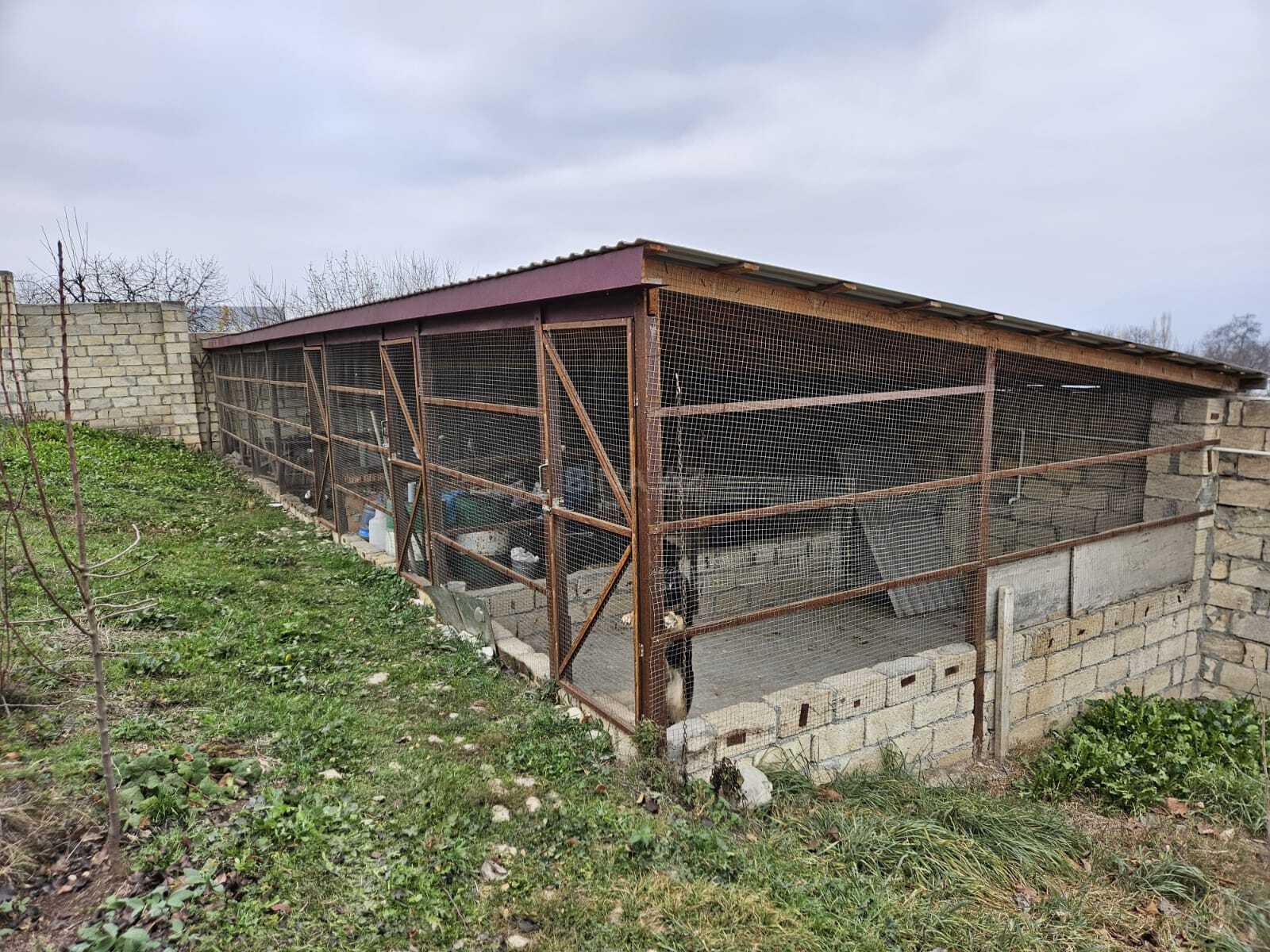 3-комн. дом/дача - Исмаиллы - 90 м² (15)