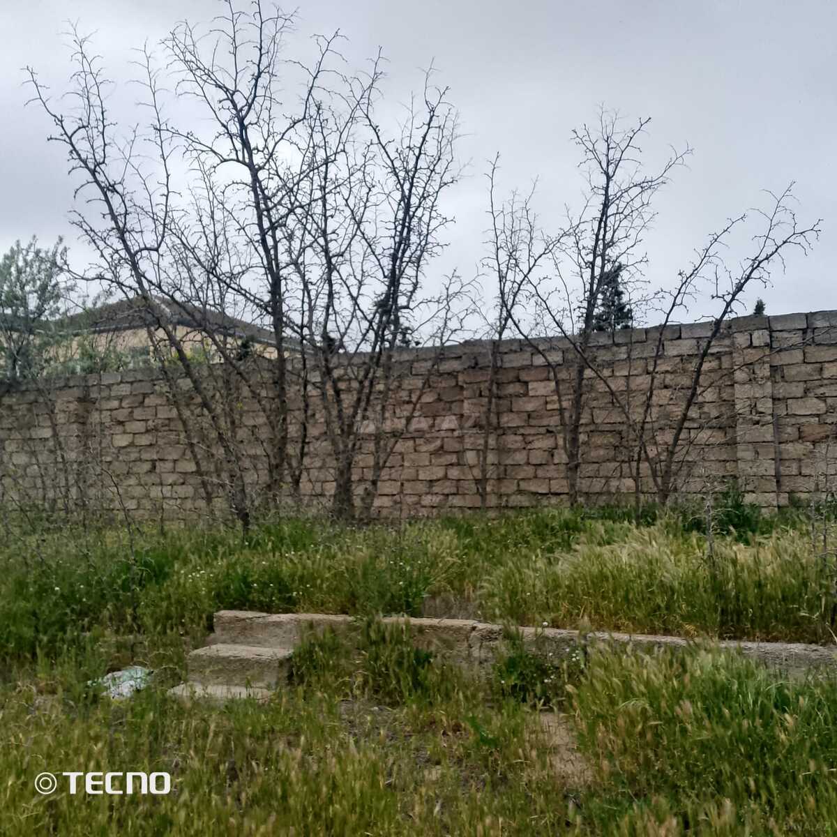 Участок - пос. Шувеляны - 15 сот (4)