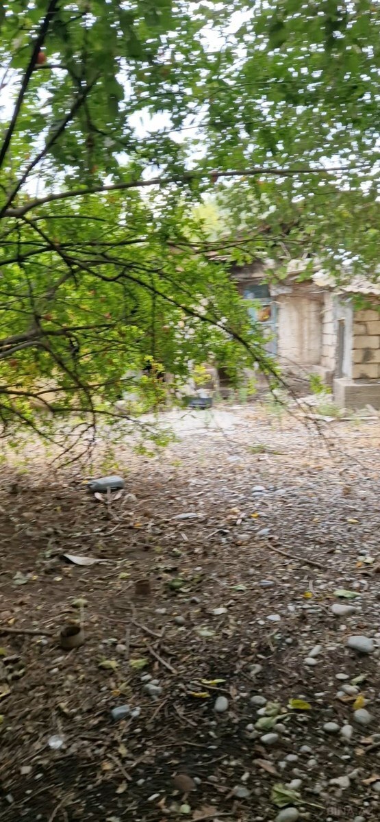 3-комн. дом/дача - Тертер - 60 м² (19)