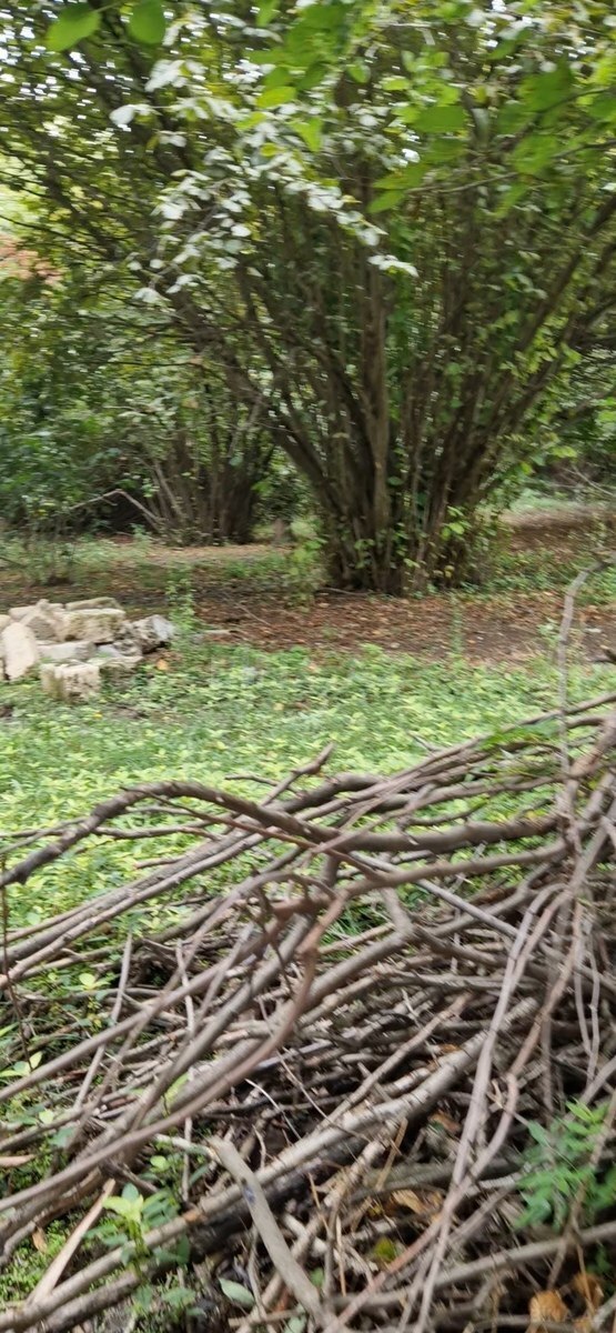3-комн. дом/дача - Тертер - 60 м² (18)