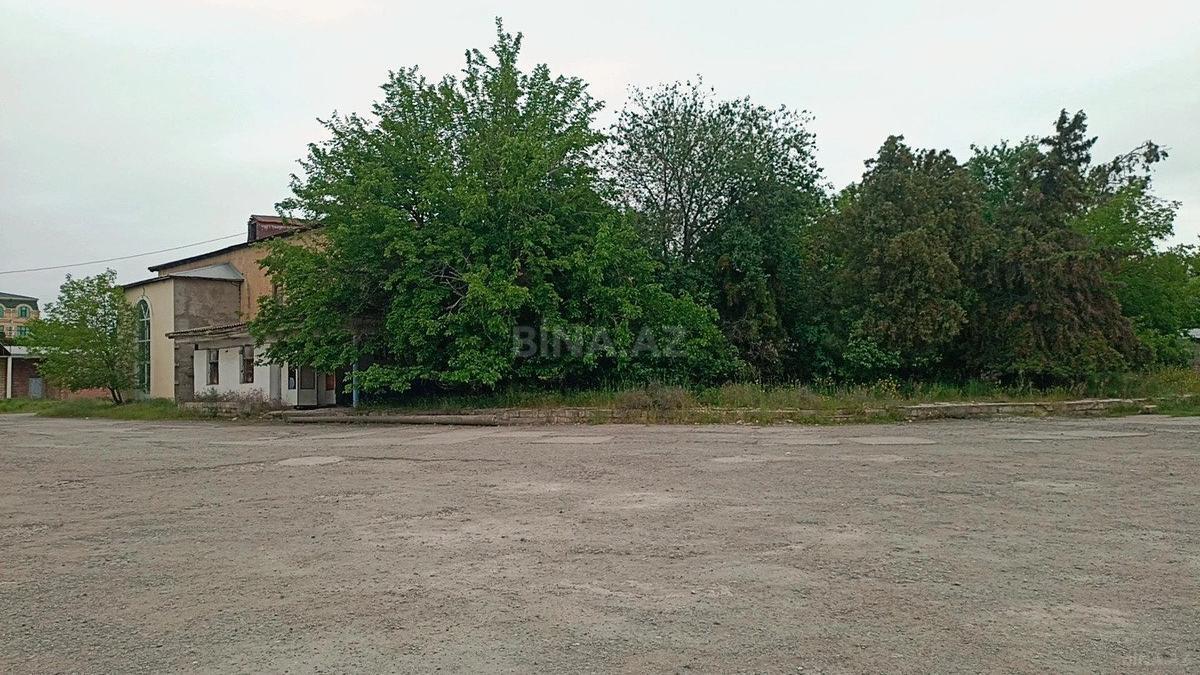 Участок - Кюрдамир - 120 сот (4)