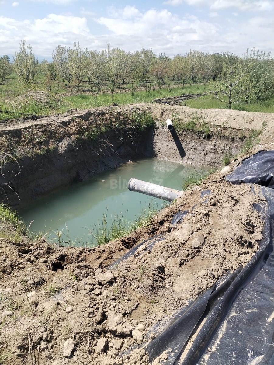 Участок - Губа - 130 сот (5)