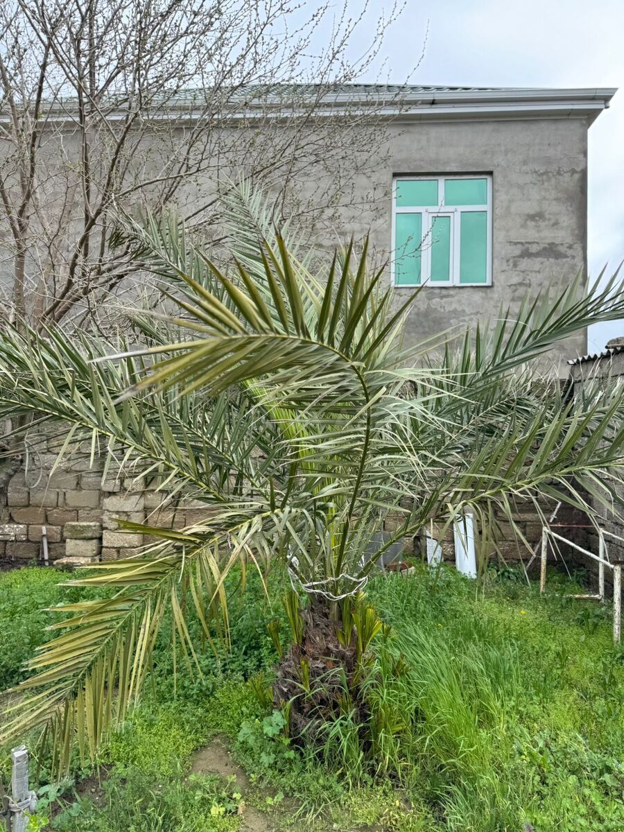 2-комн. дом/дача - пос. Бина - 75 м² (10)