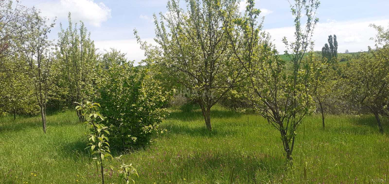 Участок - Исмаиллы - 16 сот (2)