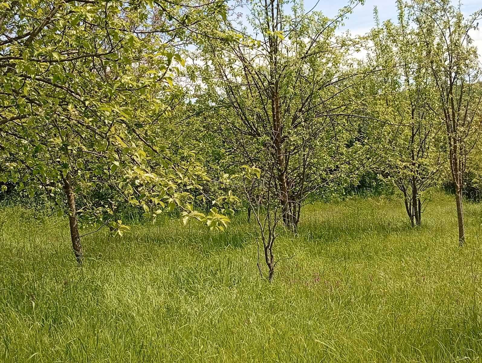 Участок - Исмаиллы - 16 сот (1)