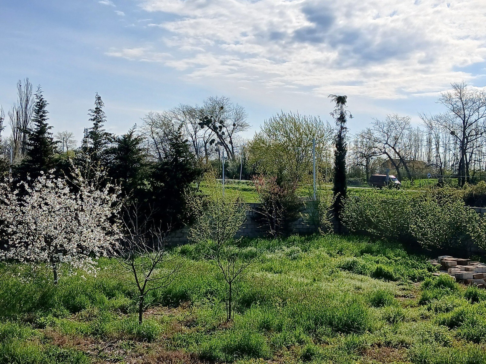 3 otaqlı həyət evi/bağ evi - Qusar - 189 m² (4)