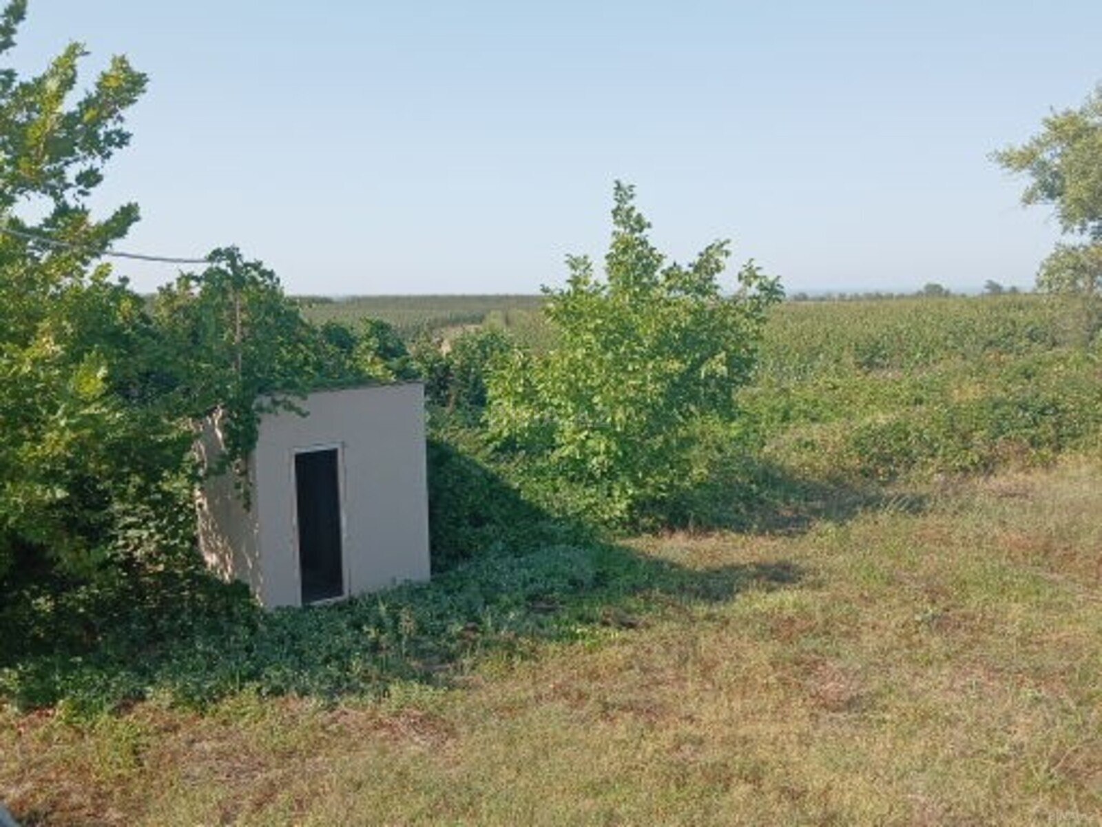 3 otaqlı həyət evi/bağ evi - Qusar - 189 m² (20)