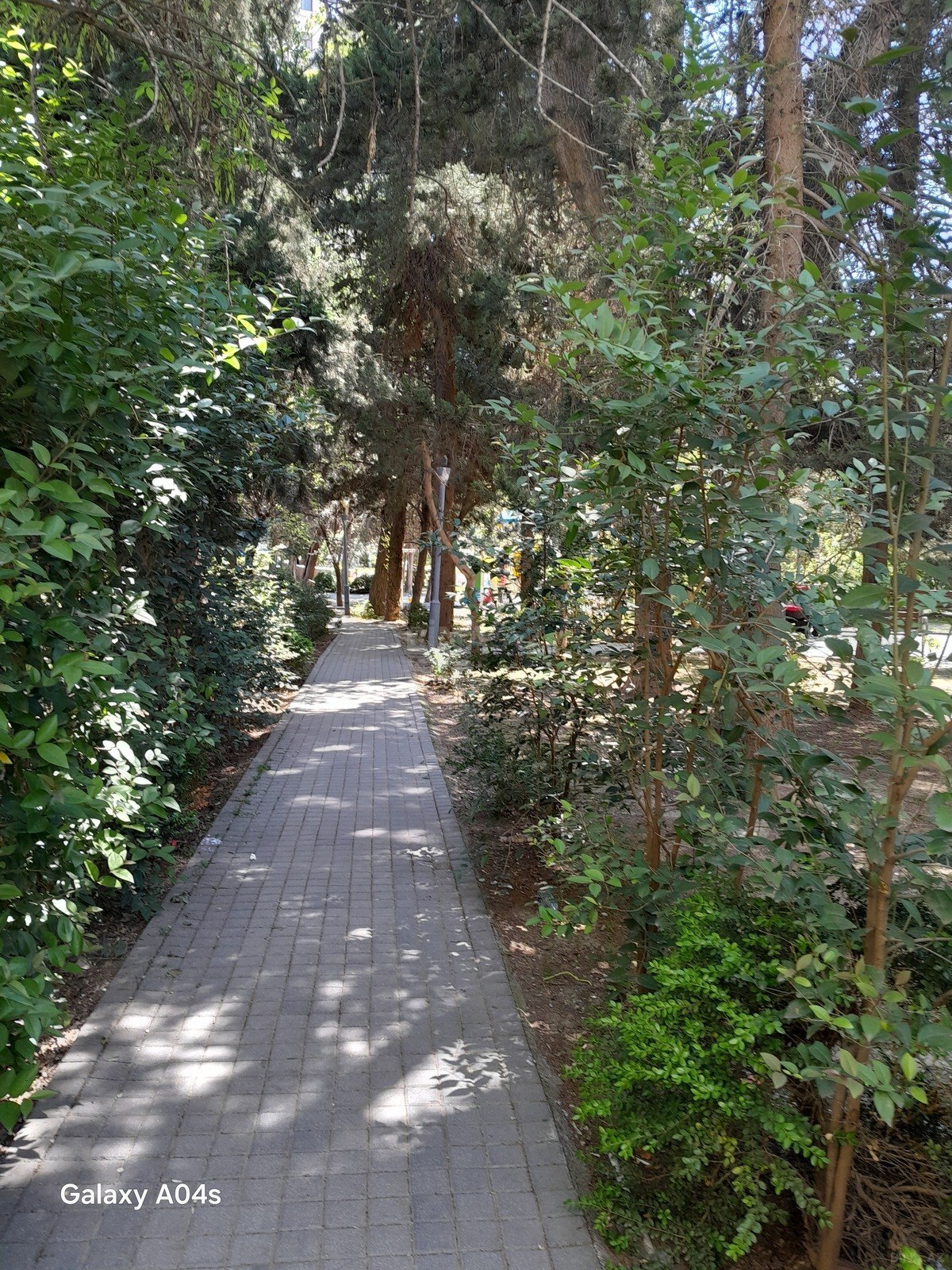 2 otaqlı köhnə tikili - Azadlıq Prospekti m. - 65 m² (11)