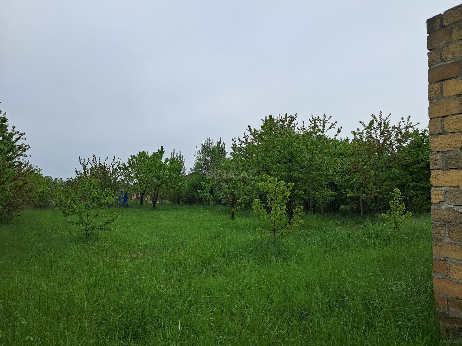 Участок - Губа - 8 сот (8)