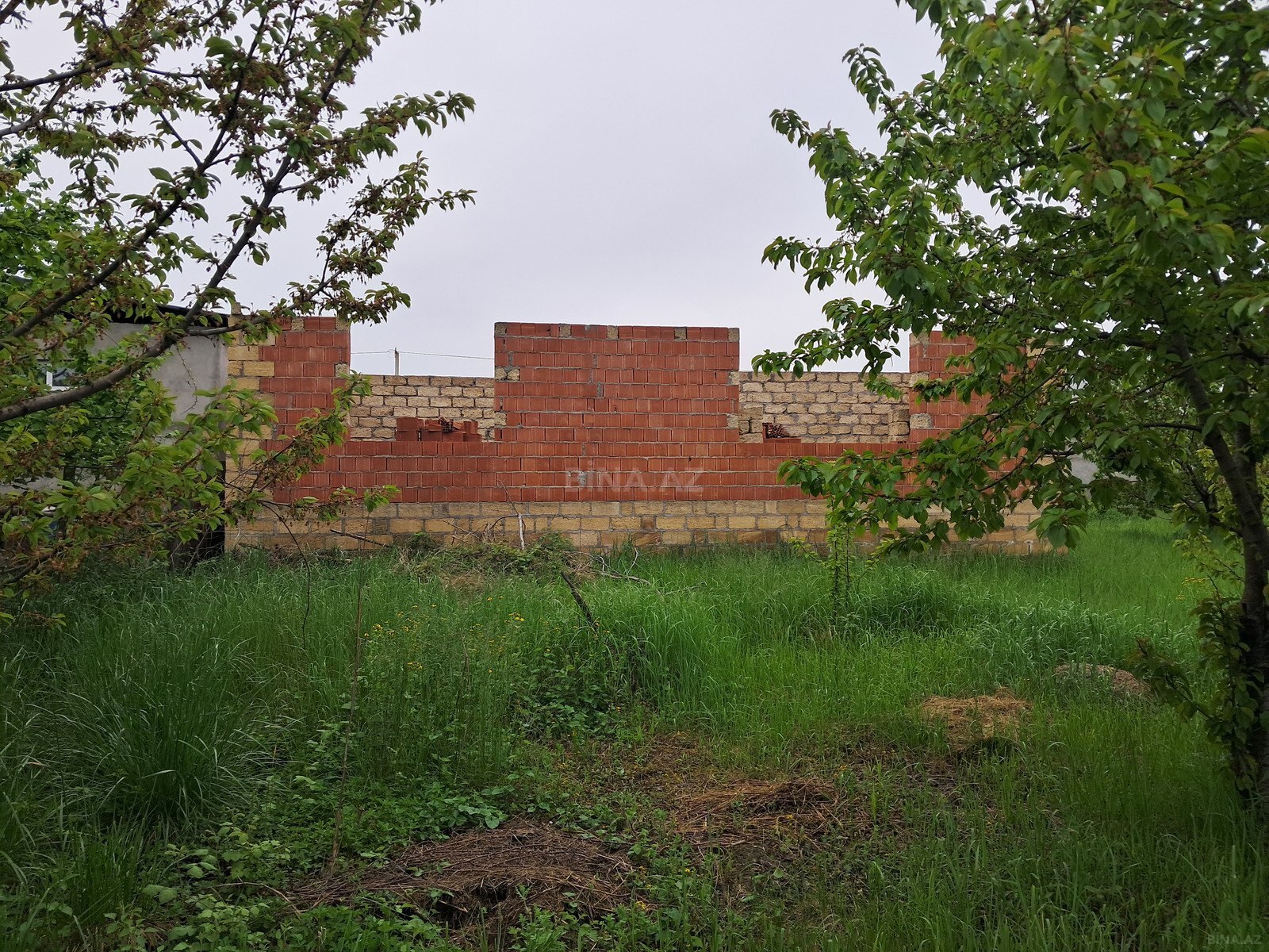 Участок - Губа - 8 сот (4)