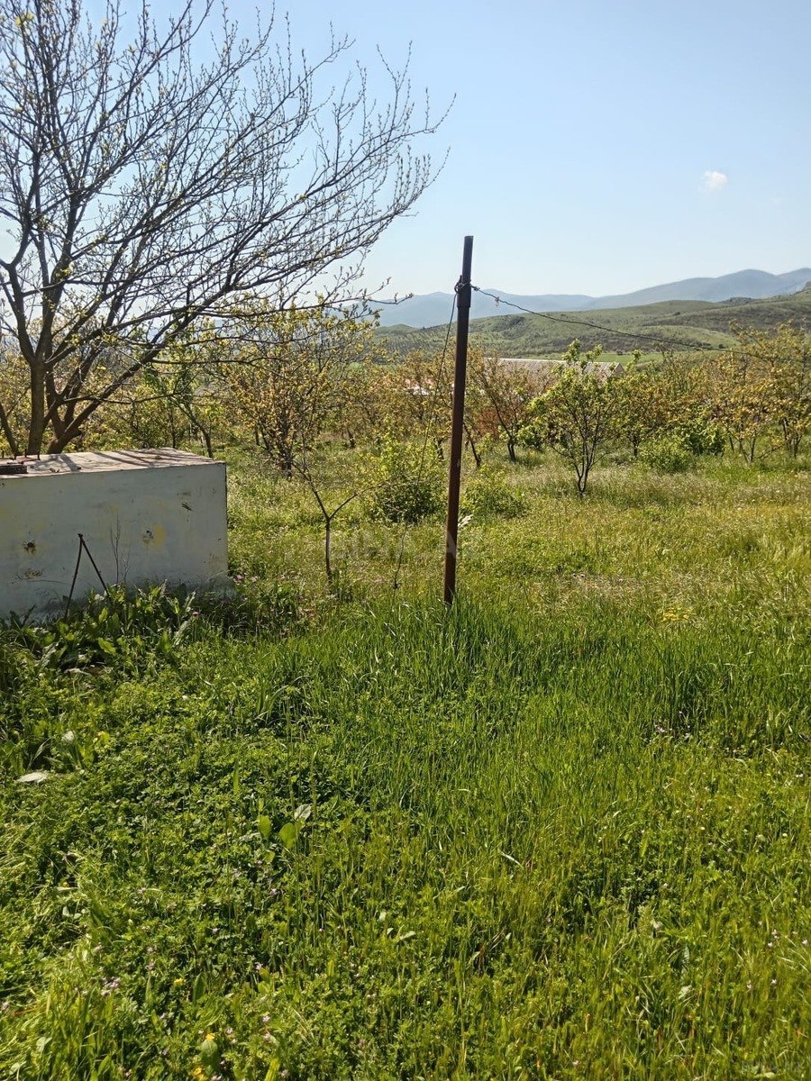 5 otaqlı həyət evi/bağ evi - Xızı - 90 m² (10)