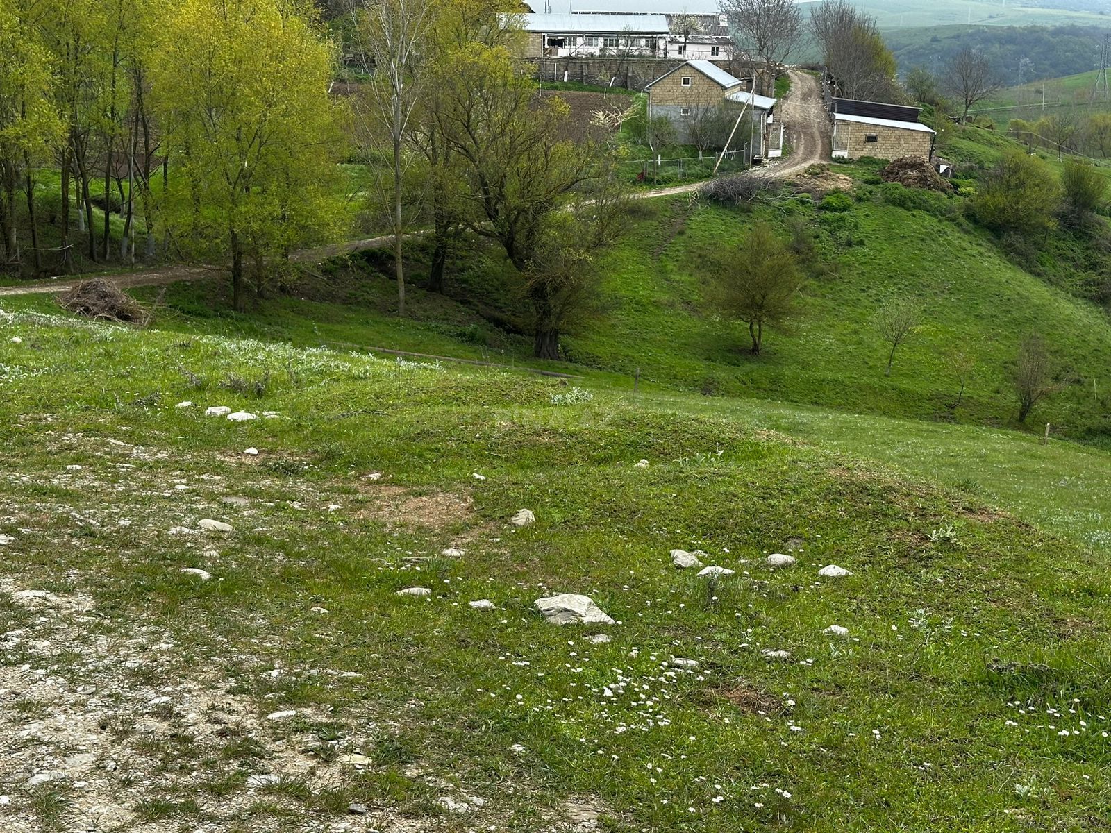 Torpaq - Şamaxı - 12 sot (6)