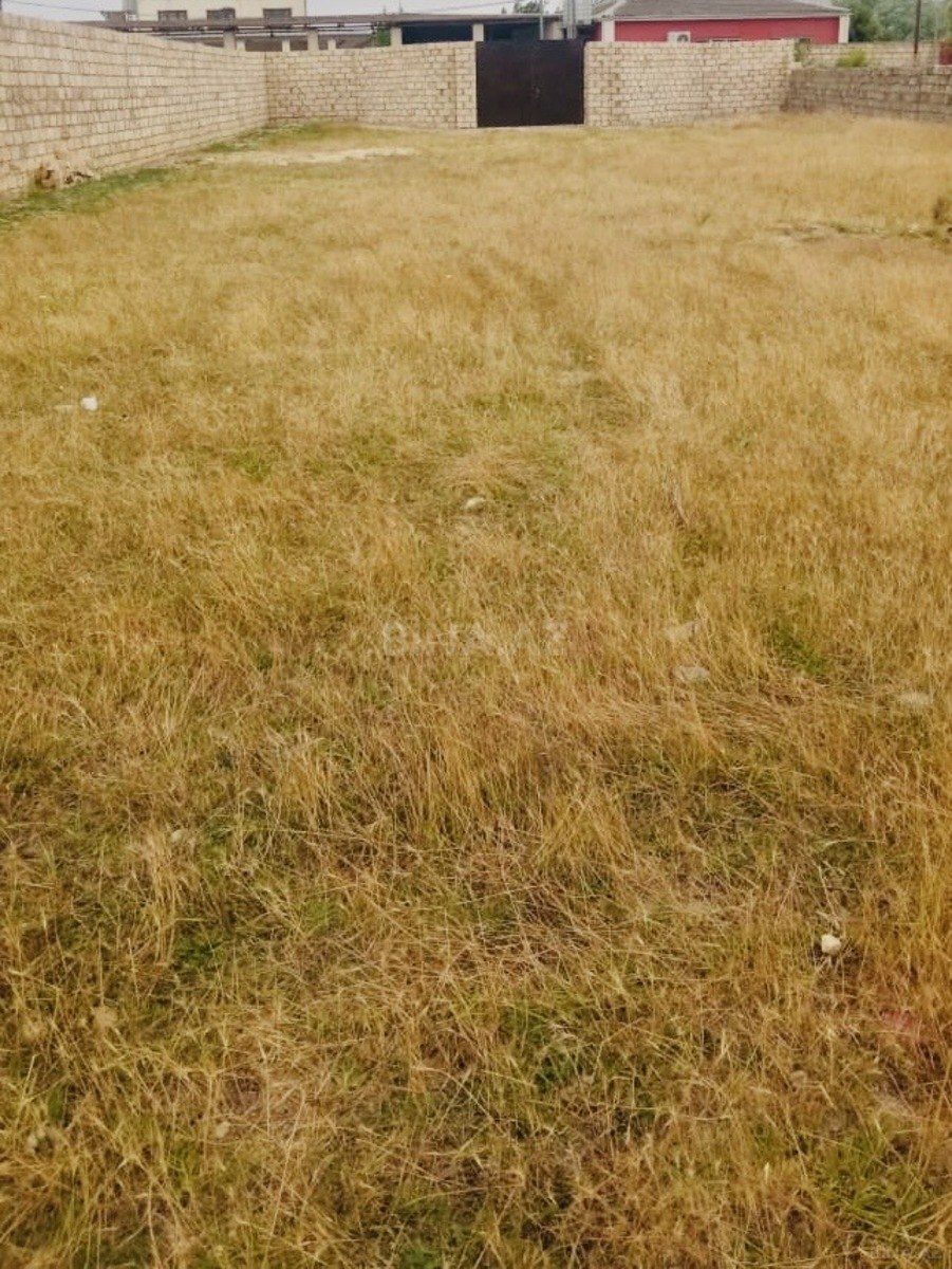 Torpaq - Pirşağı q. - 6 sot (2)