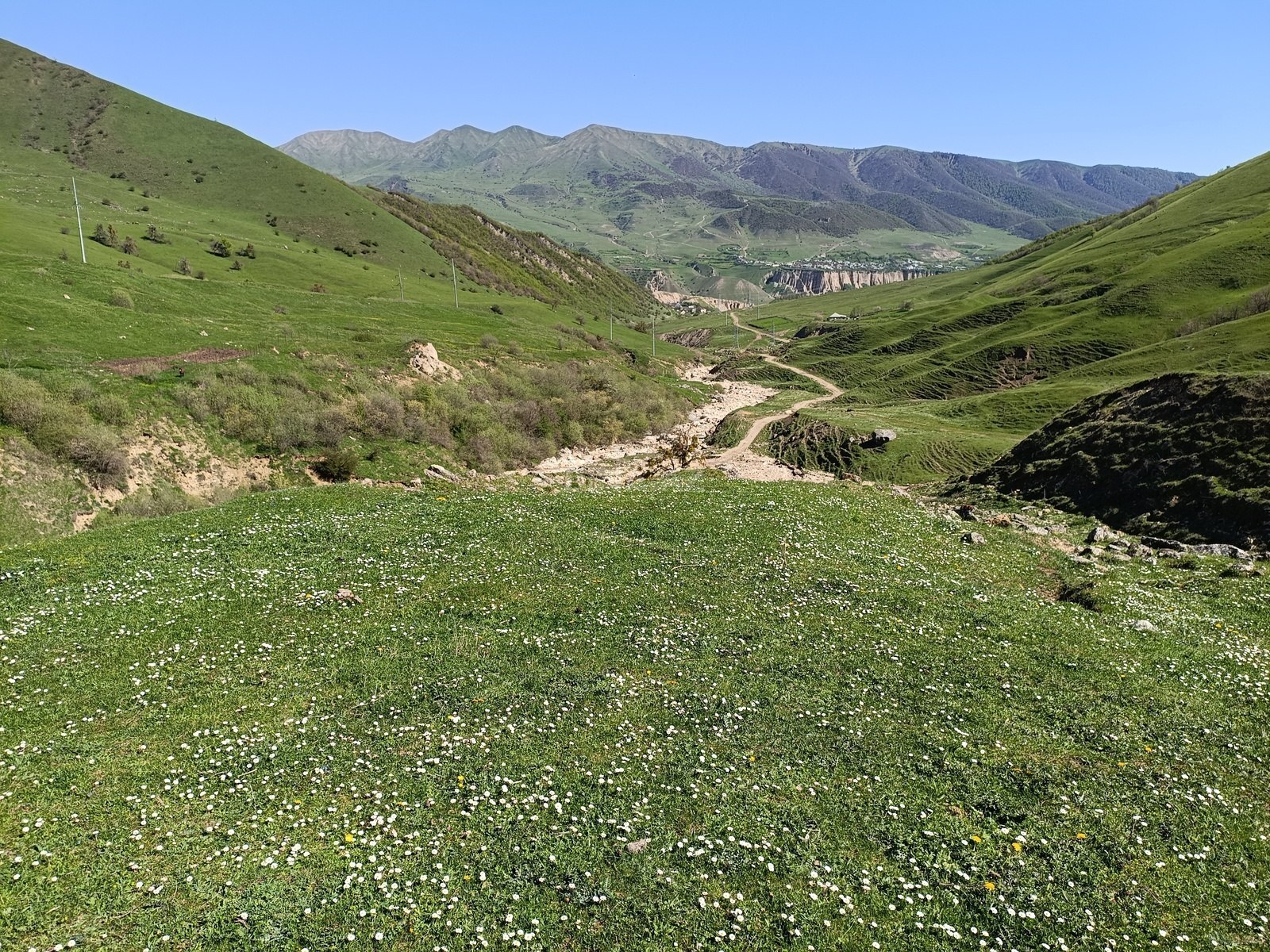 Torpaq - Qusar - 105 sot (11)