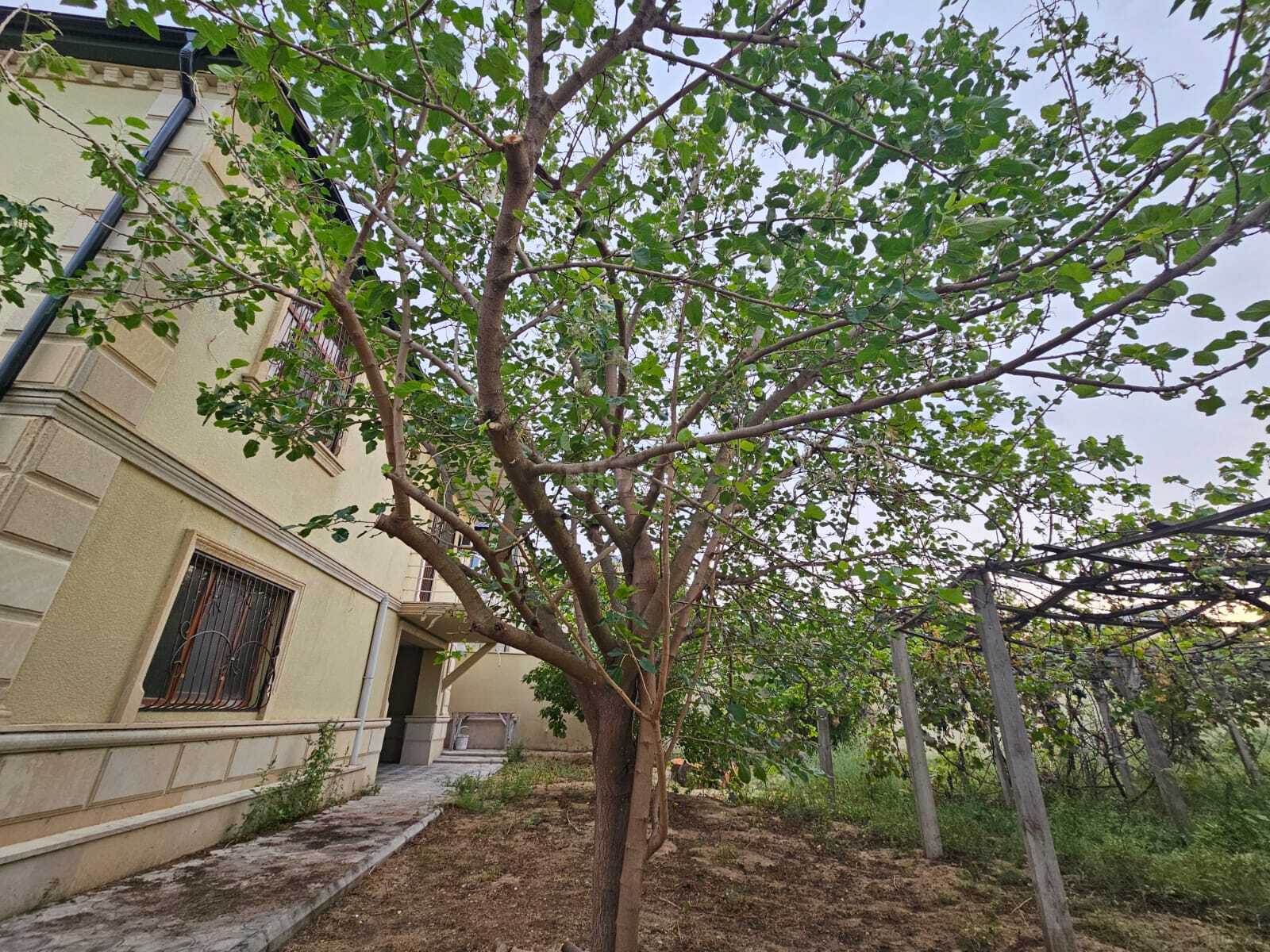 5-комн. дом/дача - пос. Новханы - 260 м² (8)
