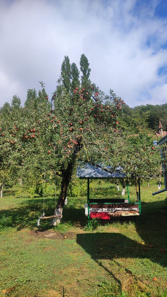 3-комн. дом/дача - Гусар - 150 м² (15)