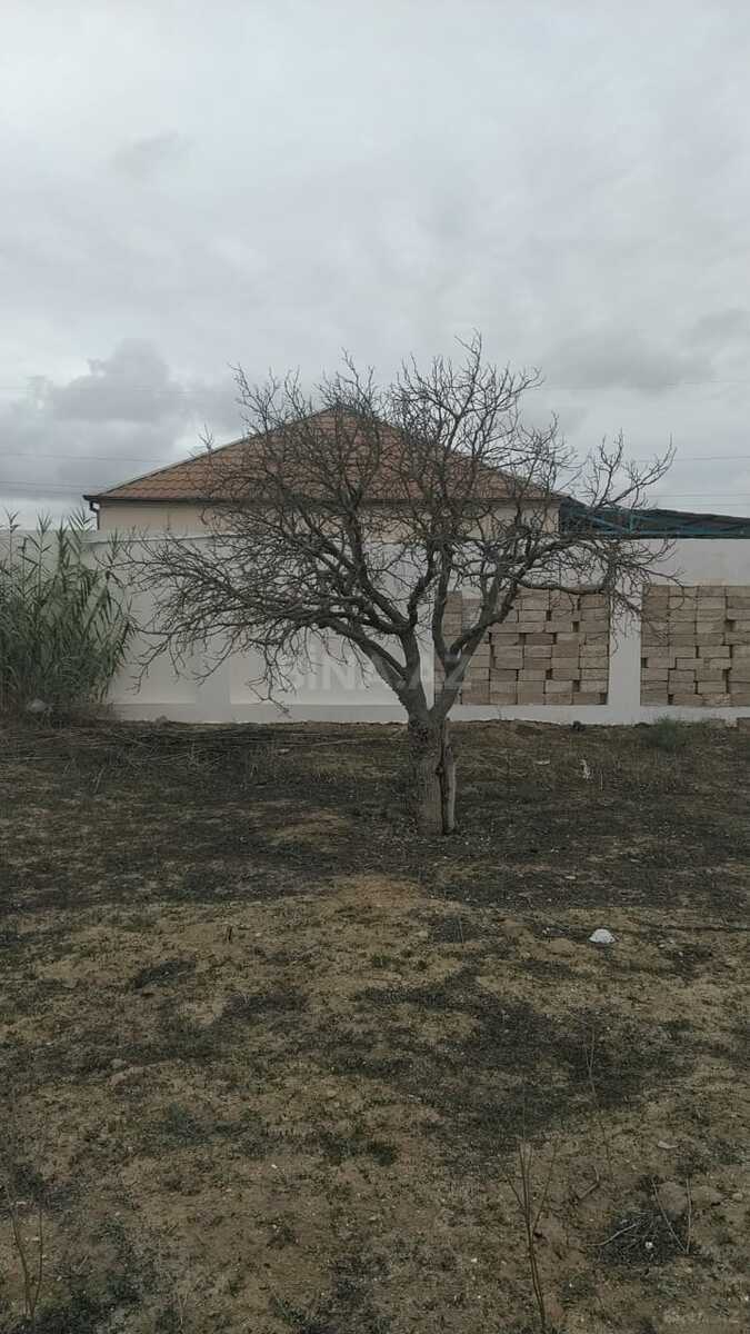 Torpaq - Qala q. - 12 sot (14)