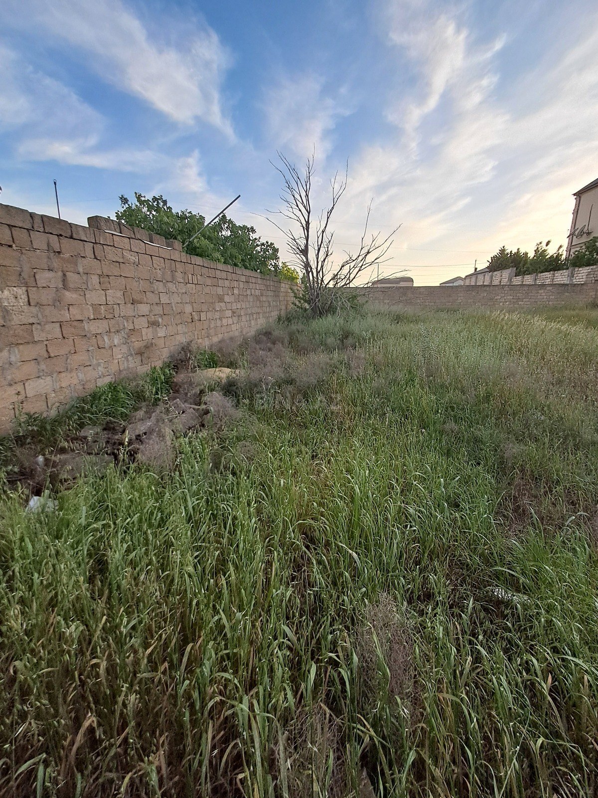 Torpaq - Masazır q. - 6 sot (4)